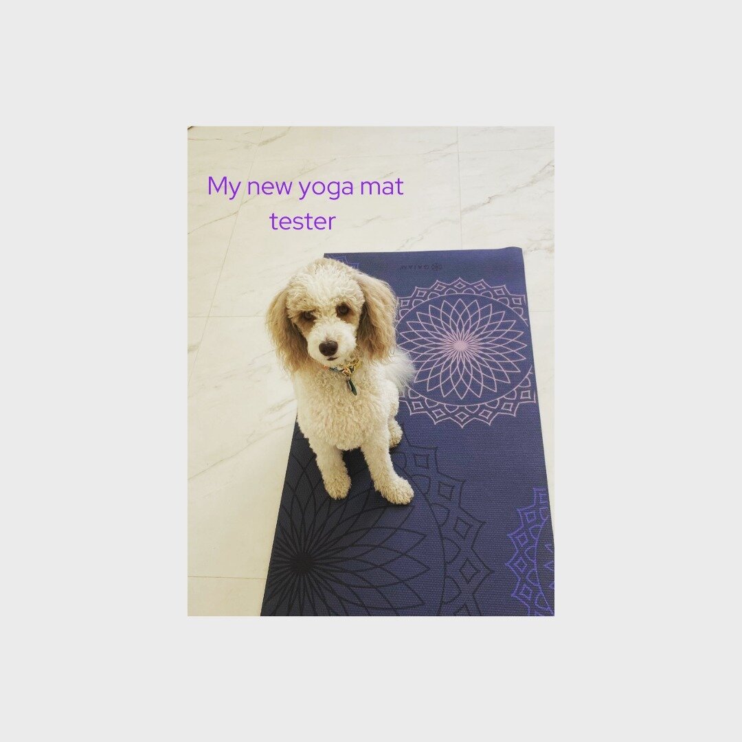 Humans and dogs are both social animals. We're wired to connect to one another!

Dogs help us lower our stress. In turn when we're calm and peaceful our dog can relax into a state of safety. 

Sharing your yoga practice with your best four-legged fri