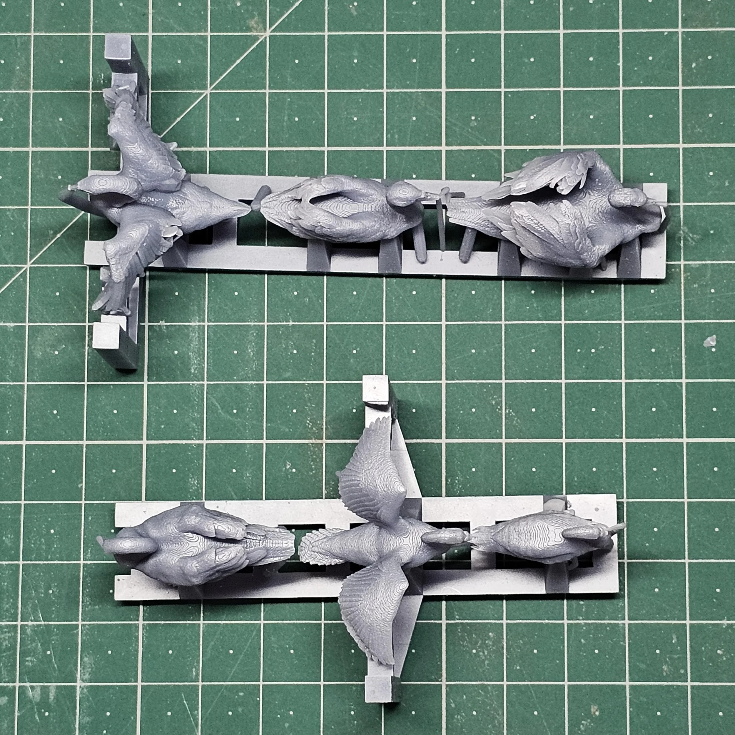 AN08-O-8.jpg