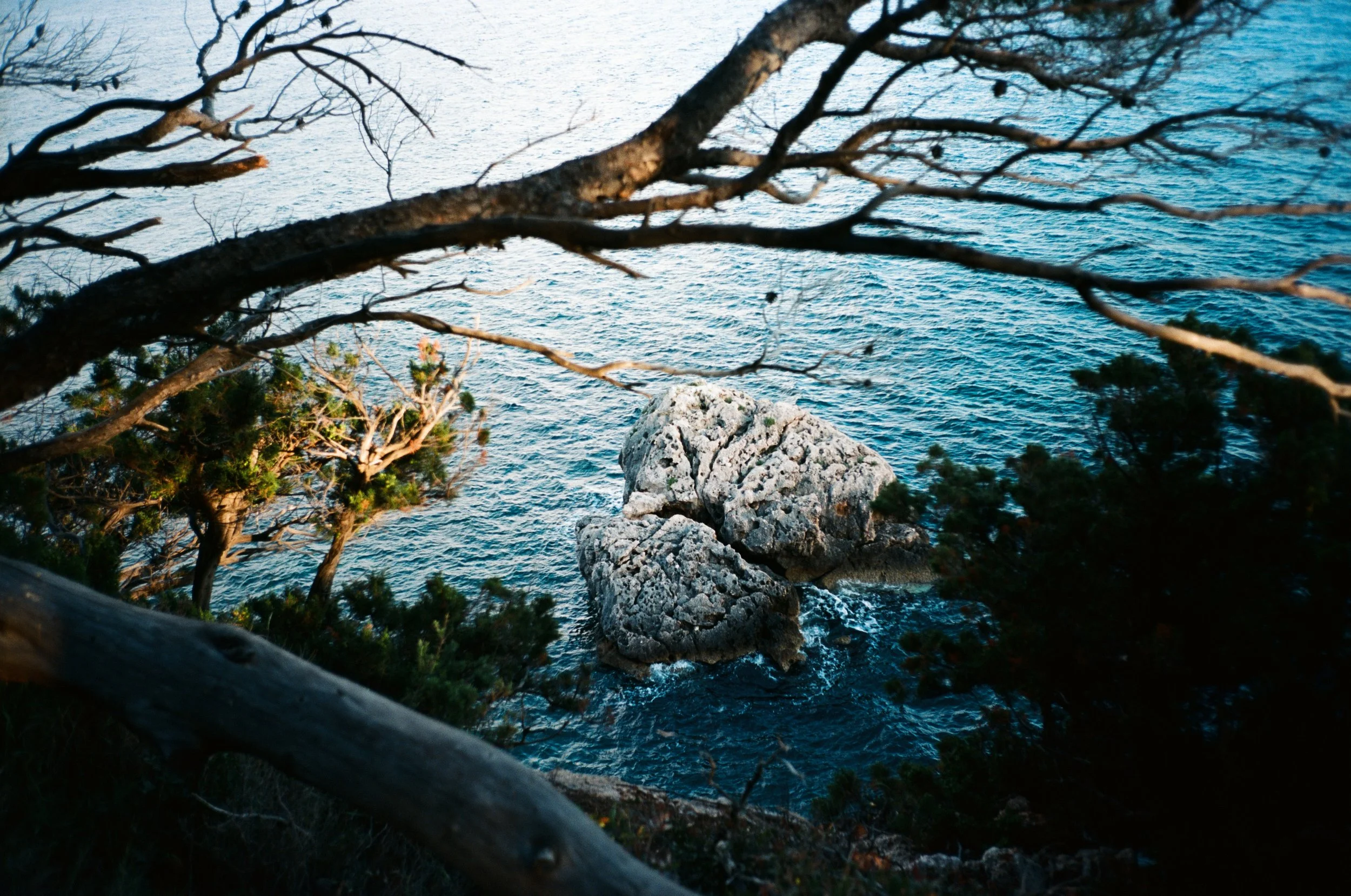 Website Portfolio-1.jpg