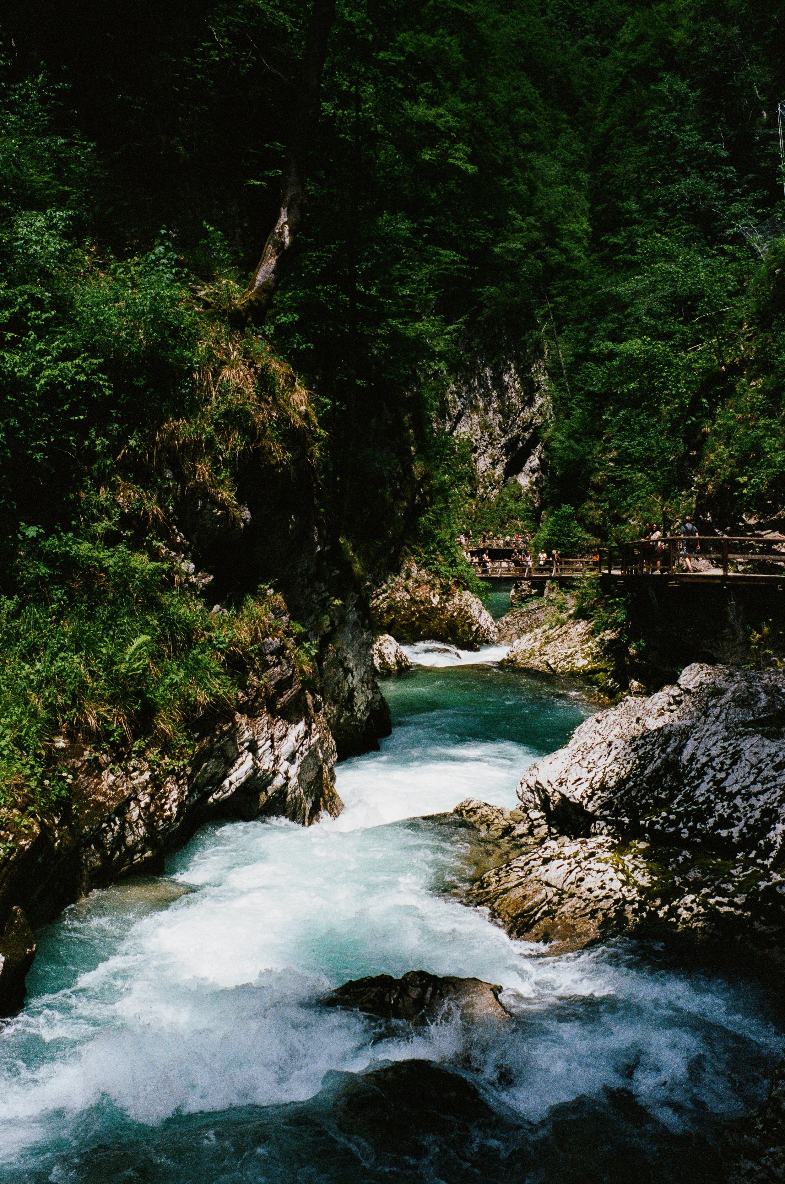 Website Portfolio-4.jpg