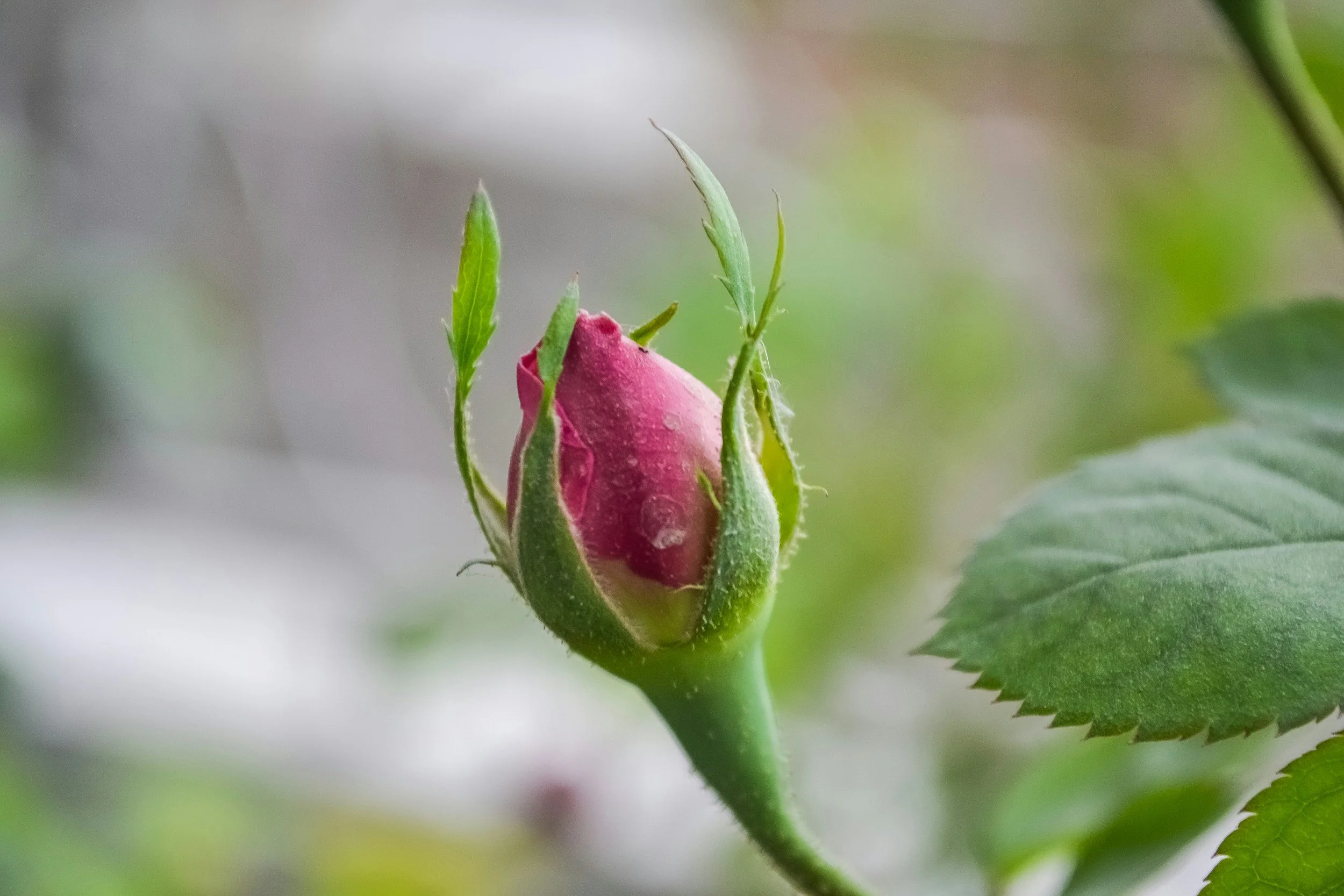 No matter how small