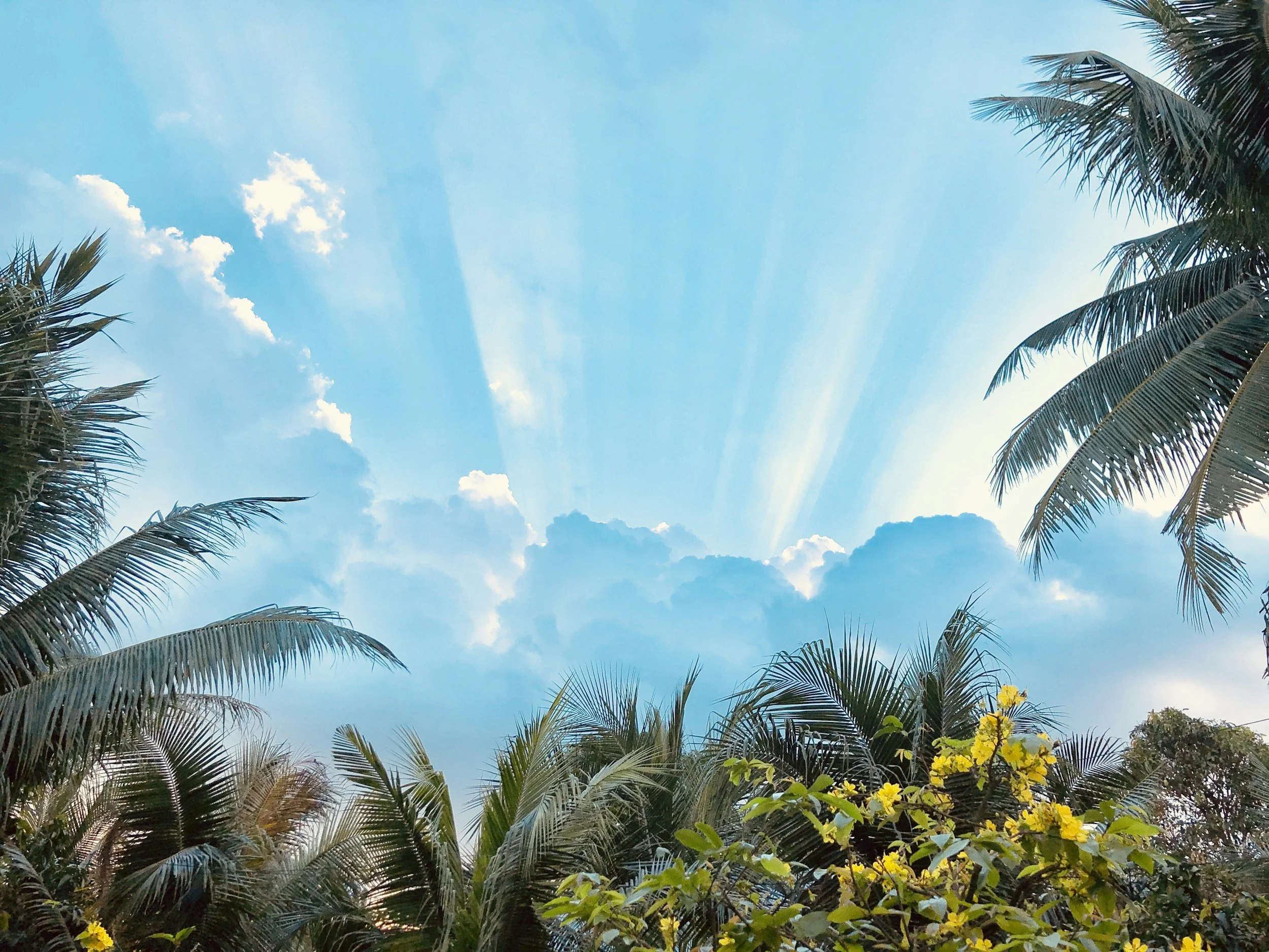 Ich bin reines Licht