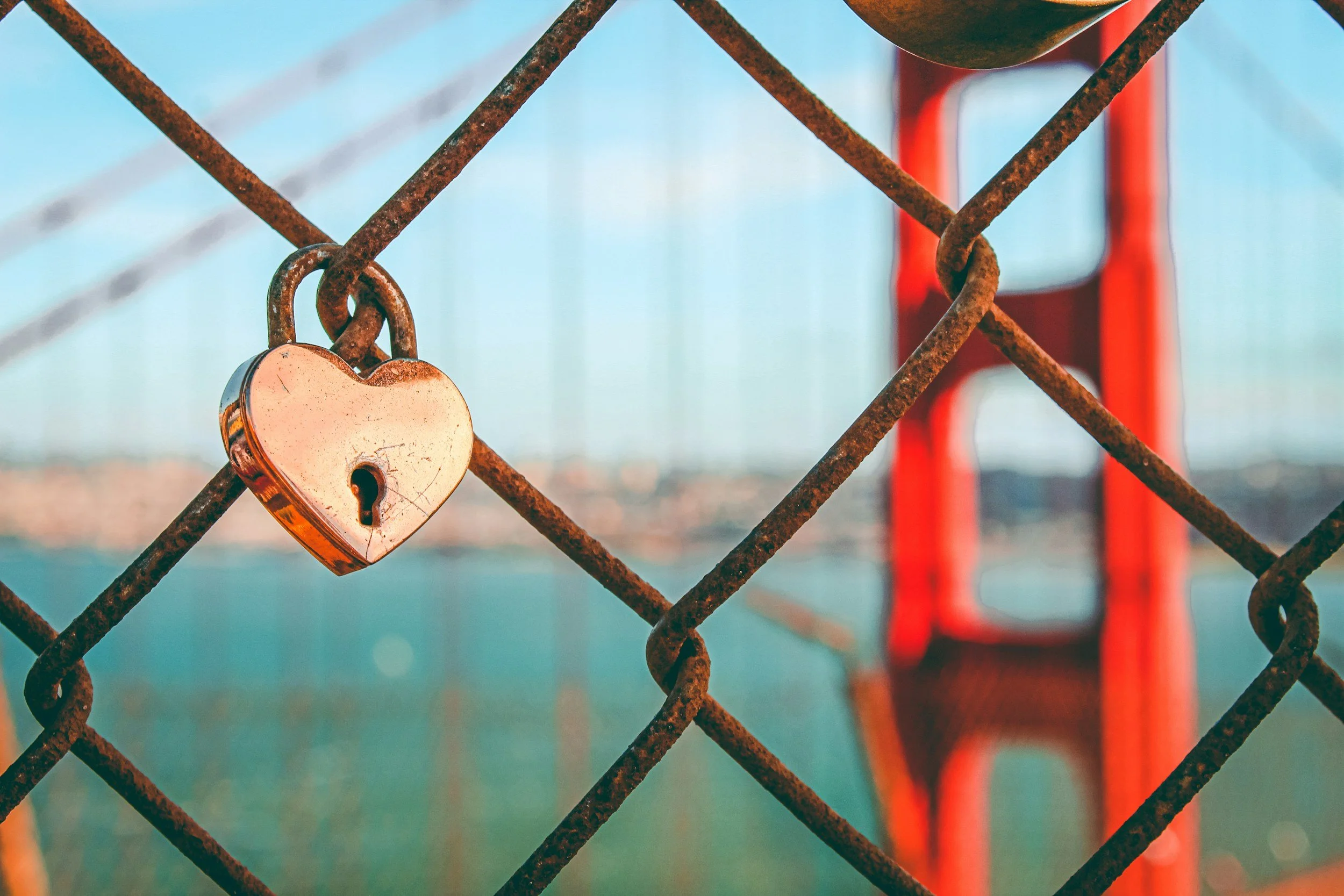 Seek to build bridges