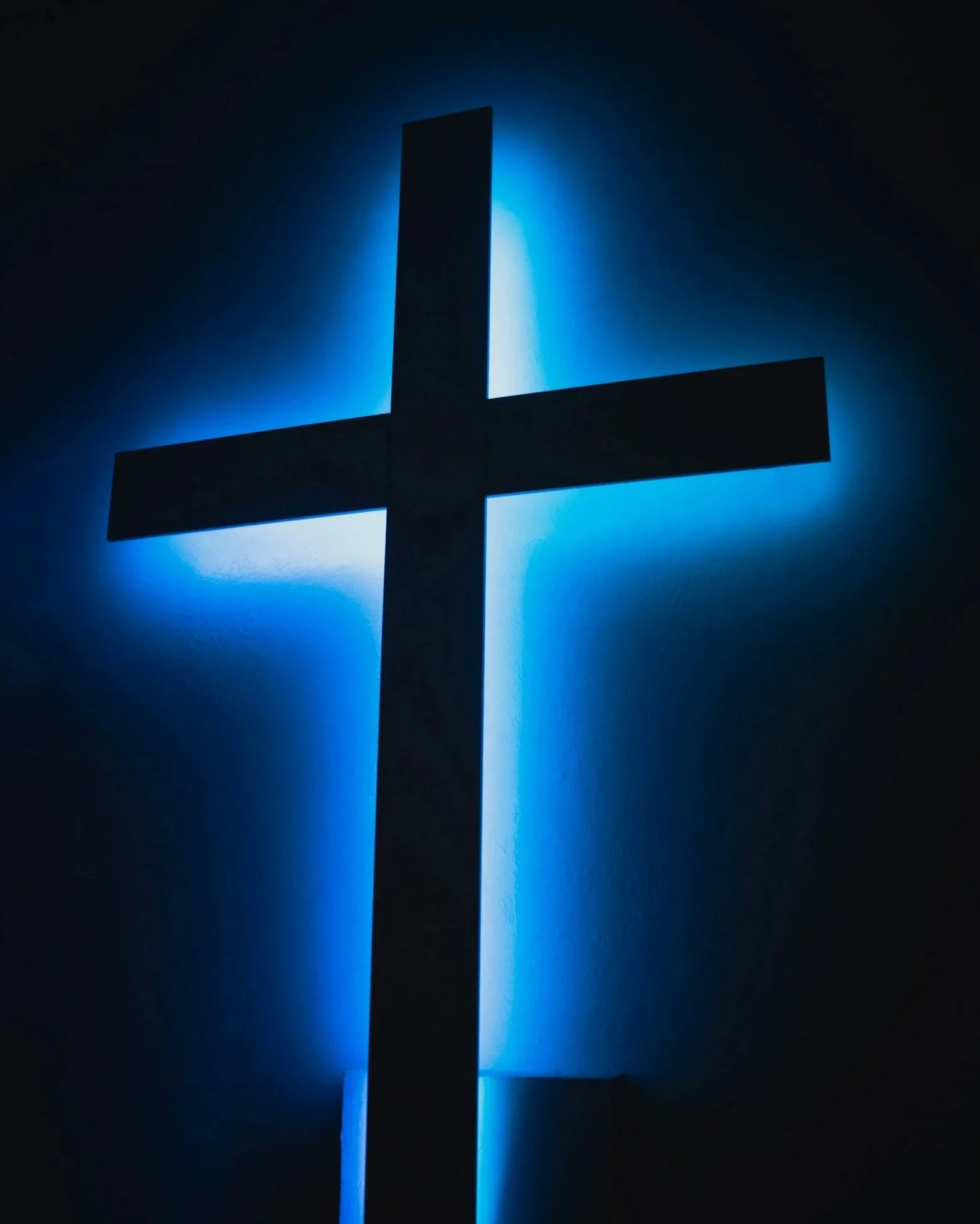 Their grief turned to joy