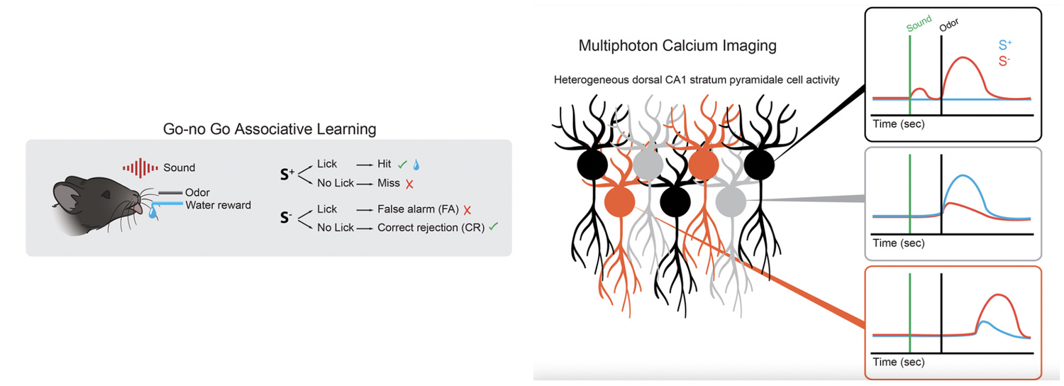 publications-hiratani-laboratory