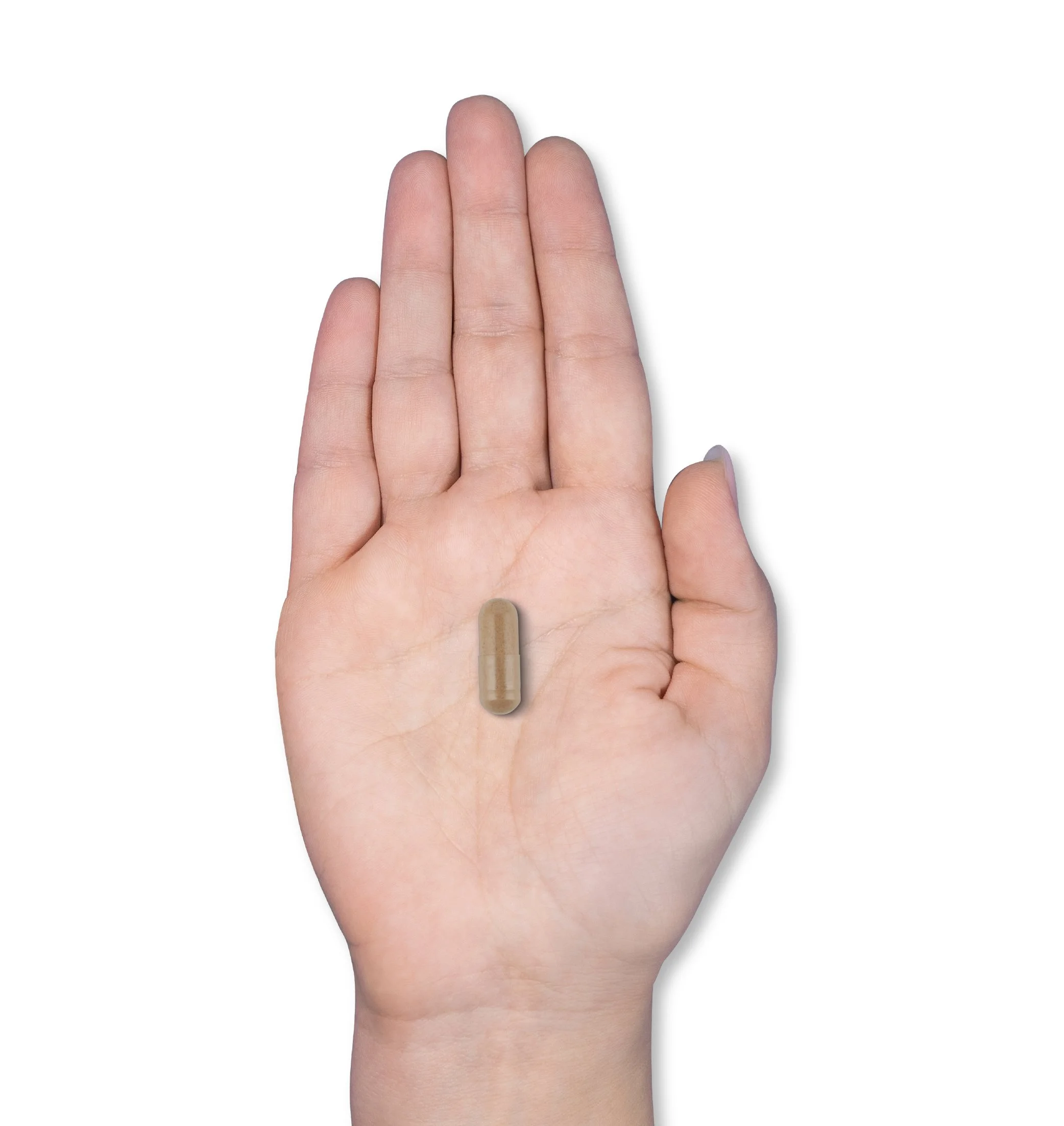 10262020-Product Listings_Ashwagandha Capsules-Shopify-Product Scale.jpg
