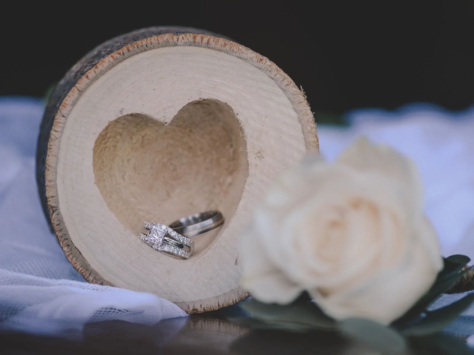 Rennacker Studio_Wedding Photography_0011322_Swaim Wedding Photography_4235.jpg