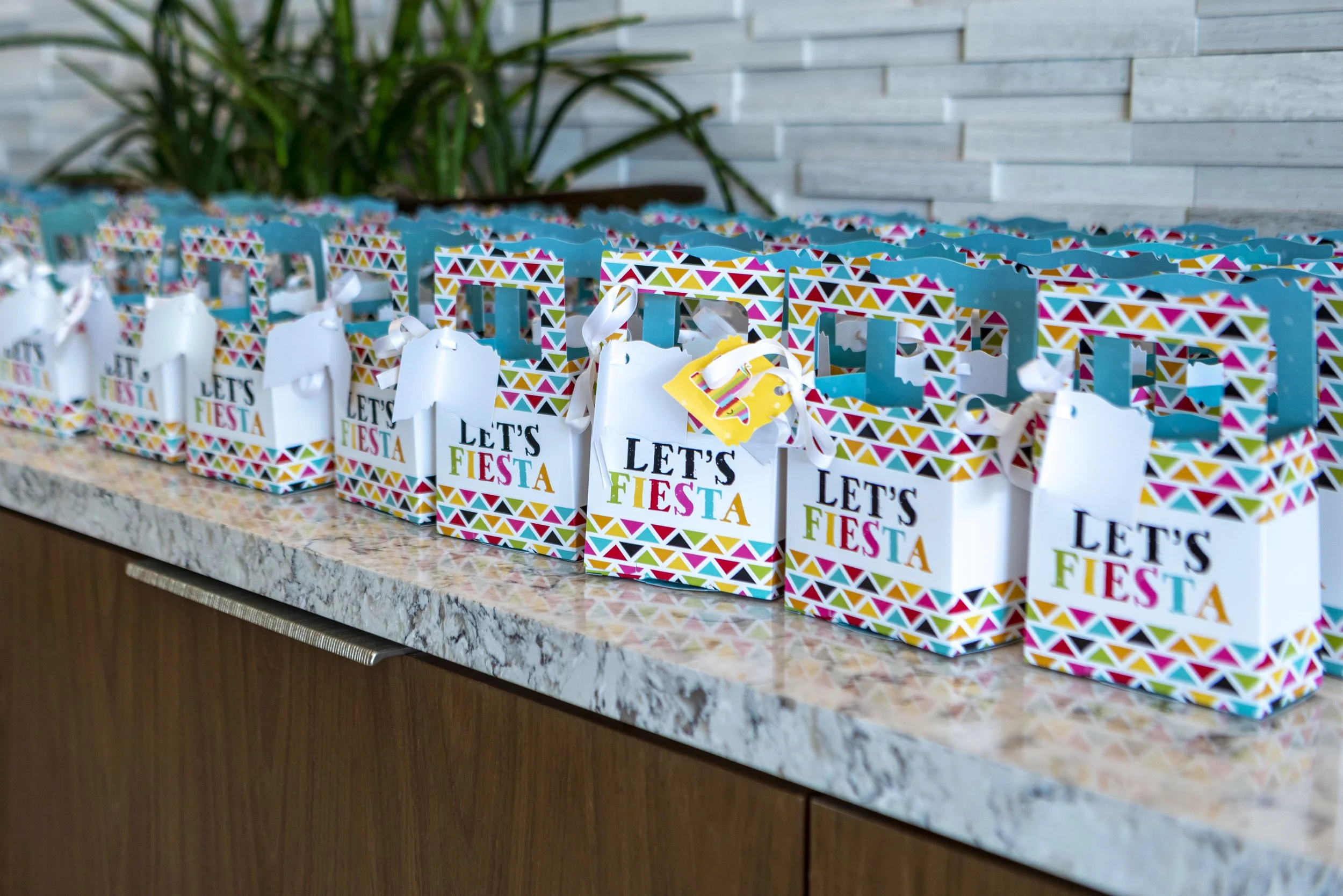 0011340_STARS_50th Fiesta Event Photography_5384.jpg