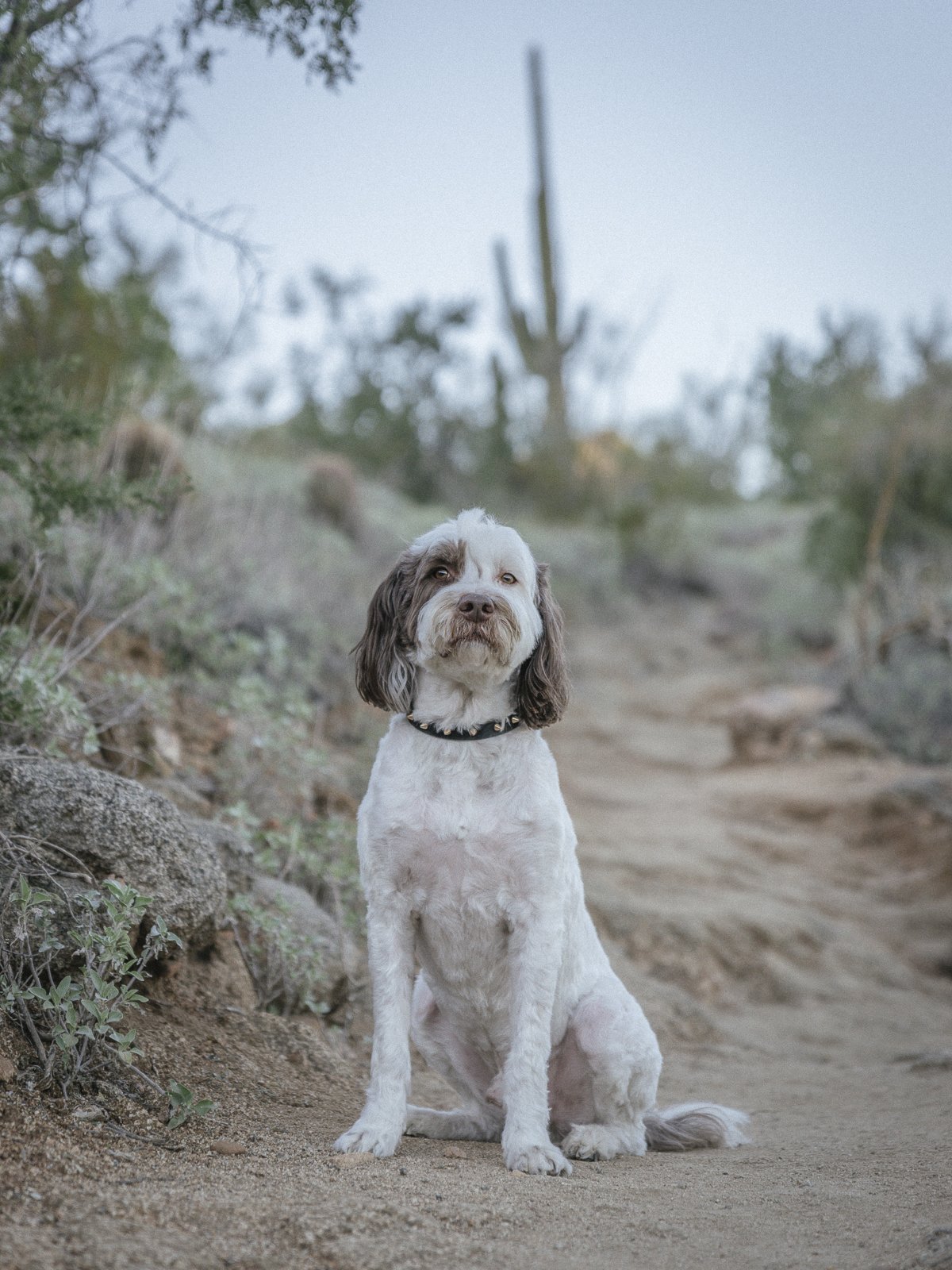 0011325_Nathan Cruse_Portrait Photography_1544.jpg