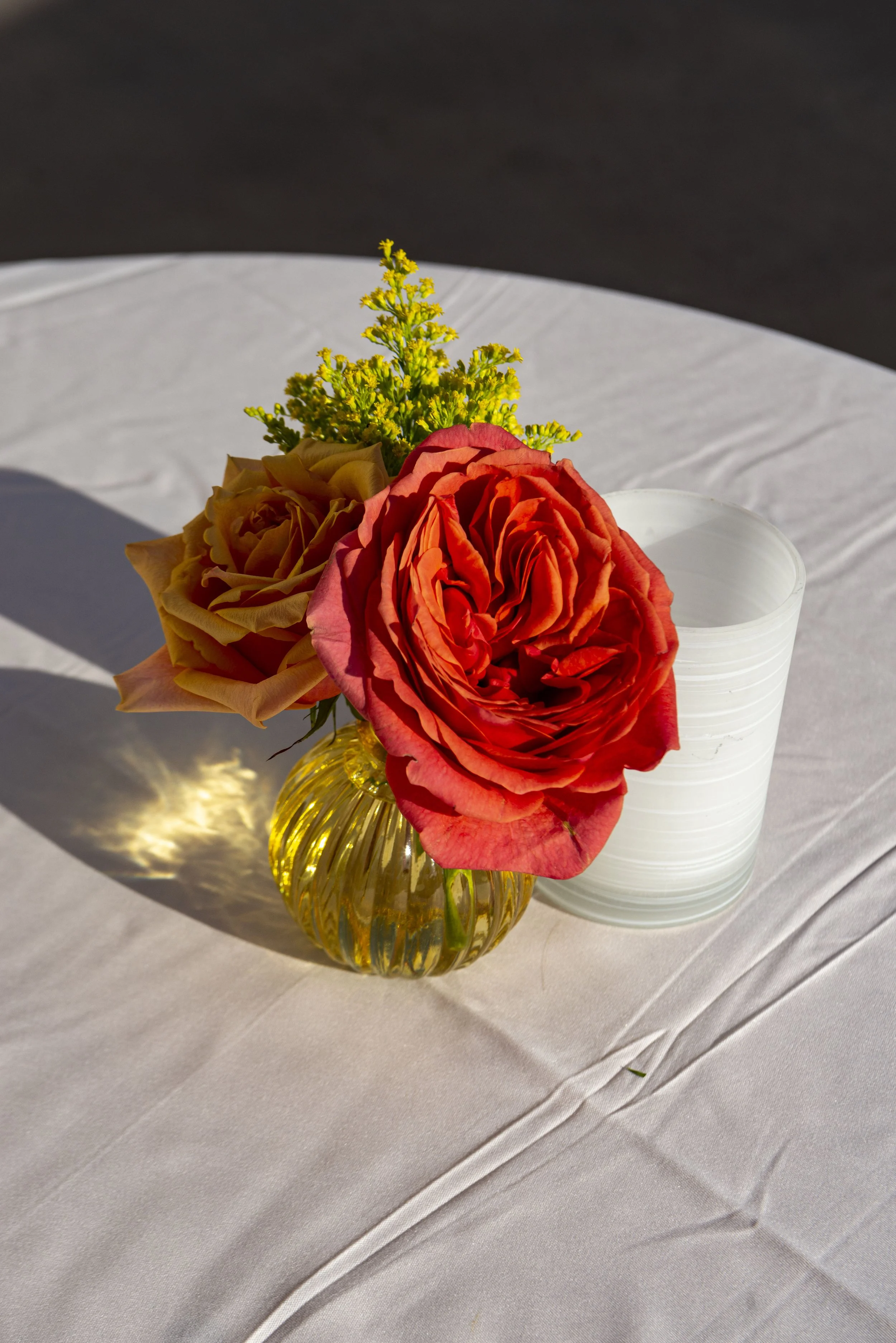 0011340_STARS_50th Fiesta Event Photography_5307.jpg