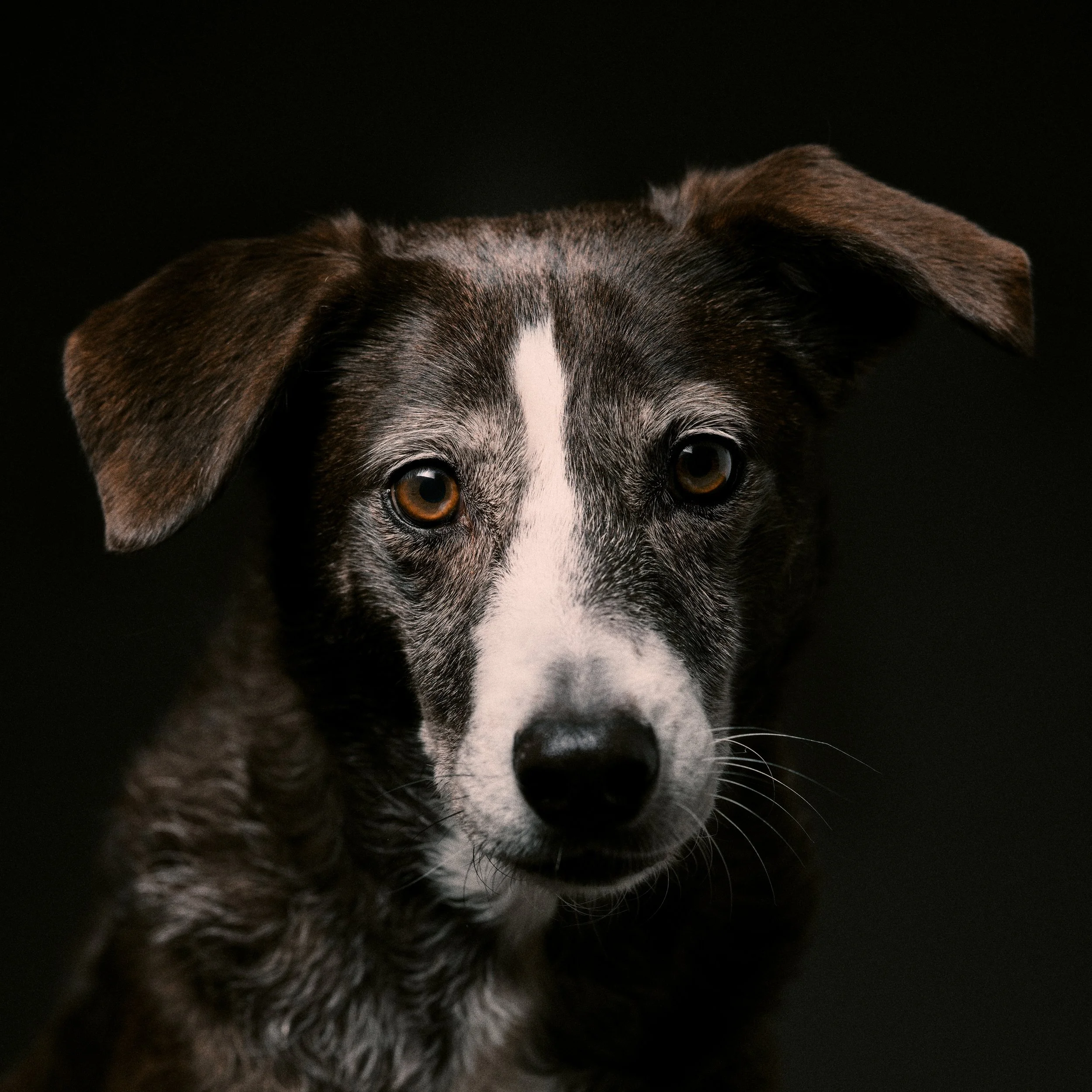 Sahara Rennacker Headshot