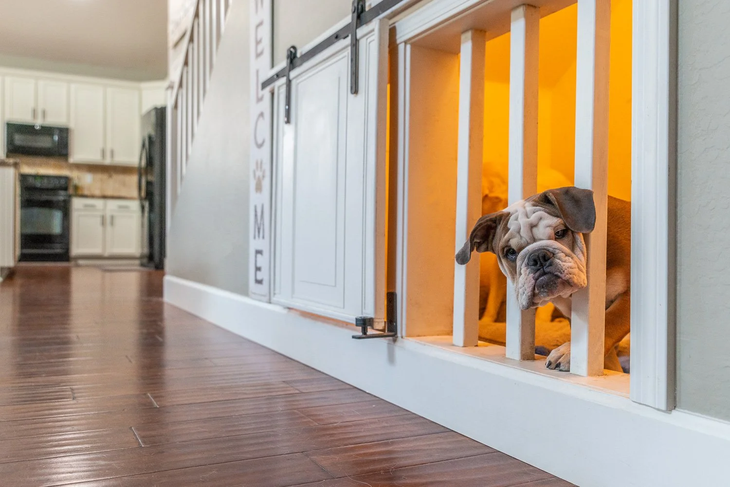 210917-15094 W Sells Drive Goodyear Arizona 85395-Dog Kennel_DSC0952-Edit.jpg