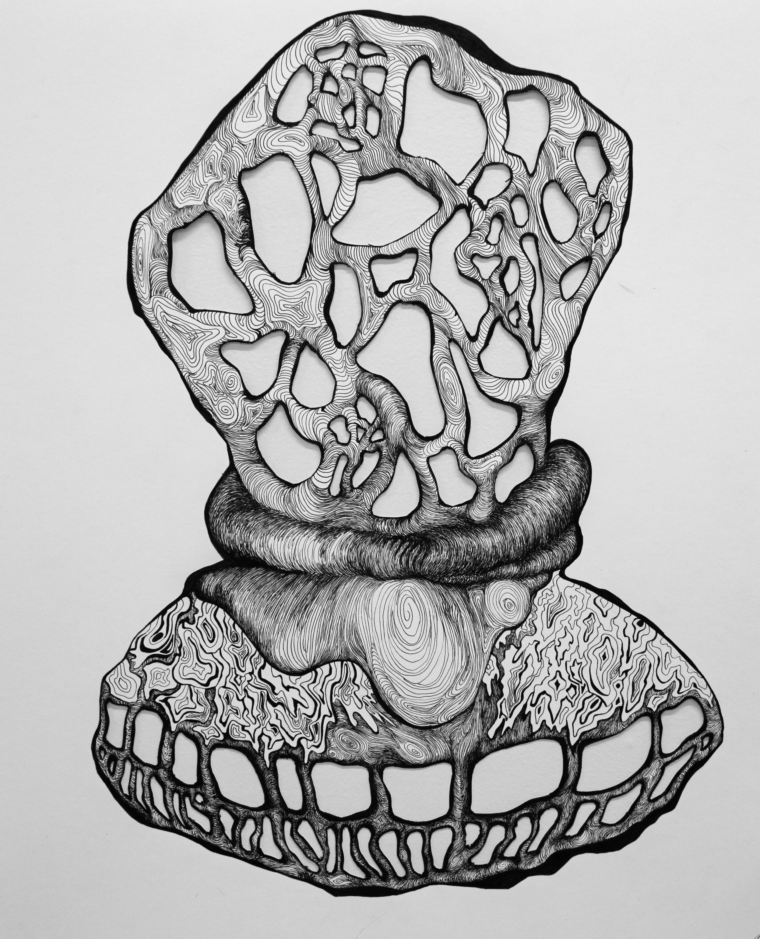 Open_vase-like_structure.jpg