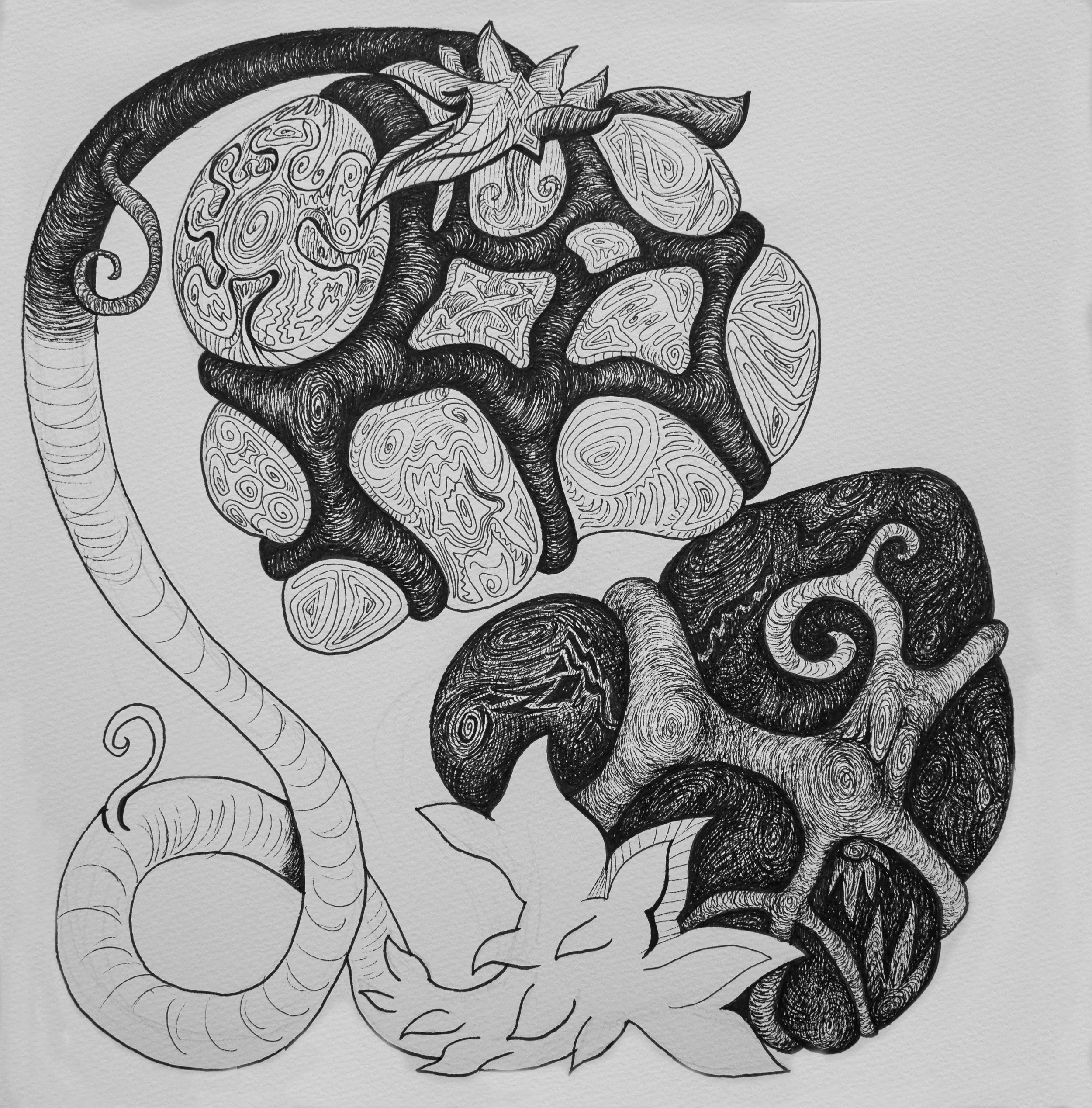yin_yang_berries.jpg
