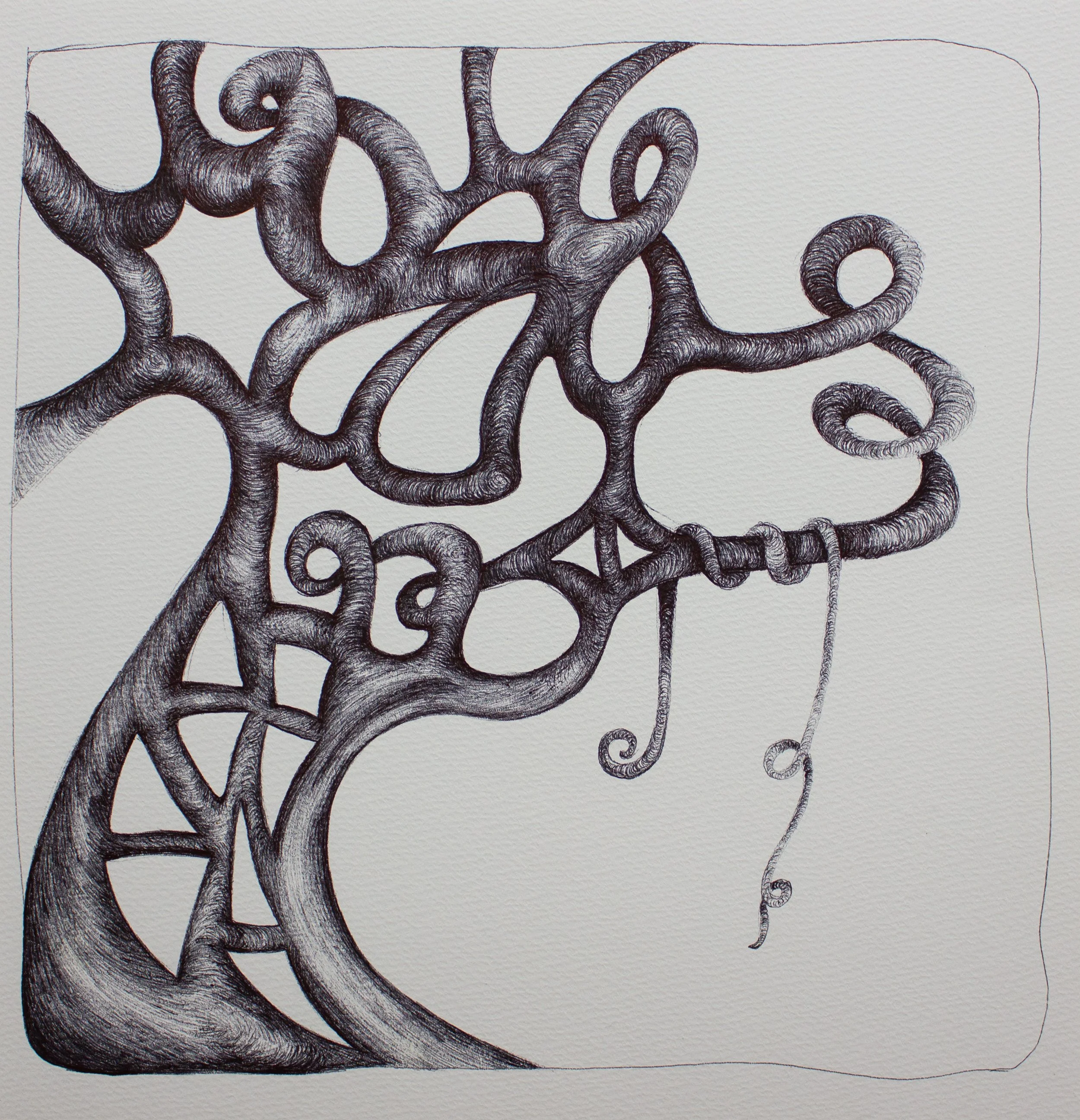 tree_shapes.jpg