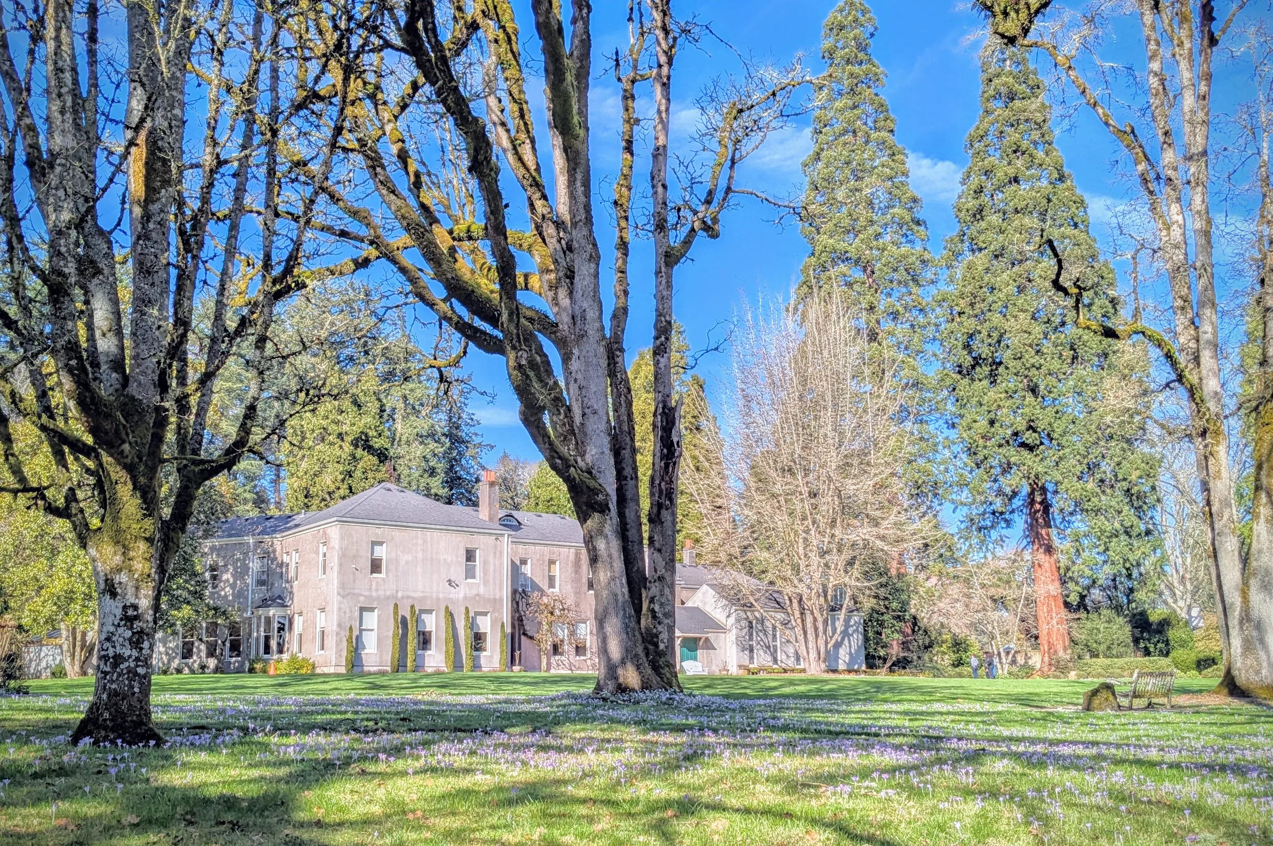 Growing Trees in a Time of Climate Change