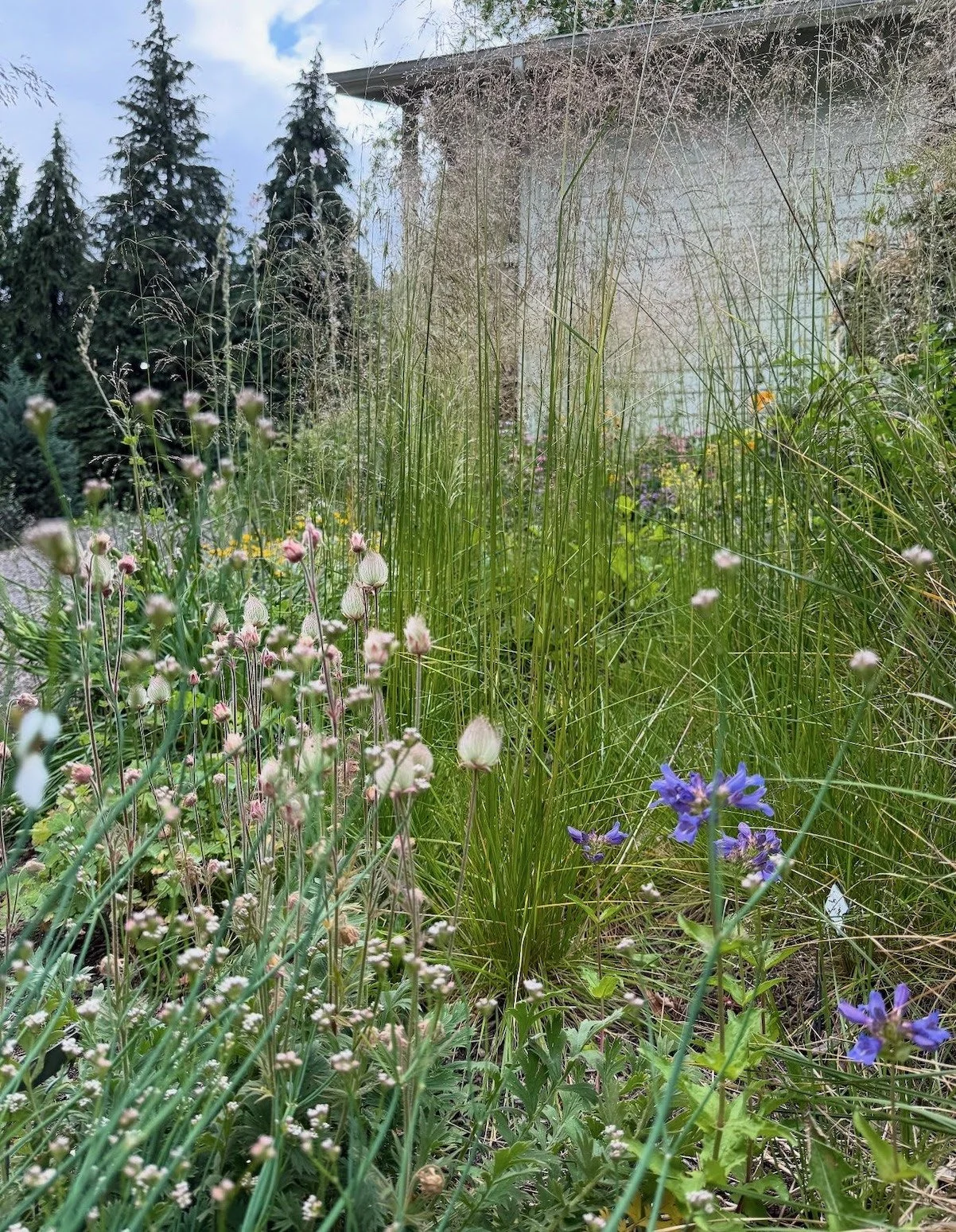 Designing with Native Plants and Structure for Biodiversity