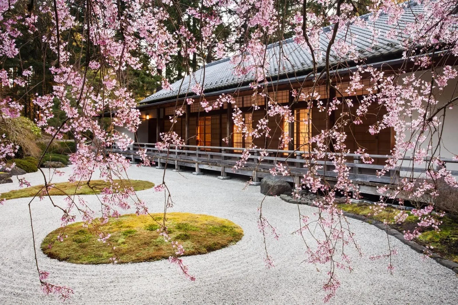 The Portland Japanese Garden Exclusive Tour