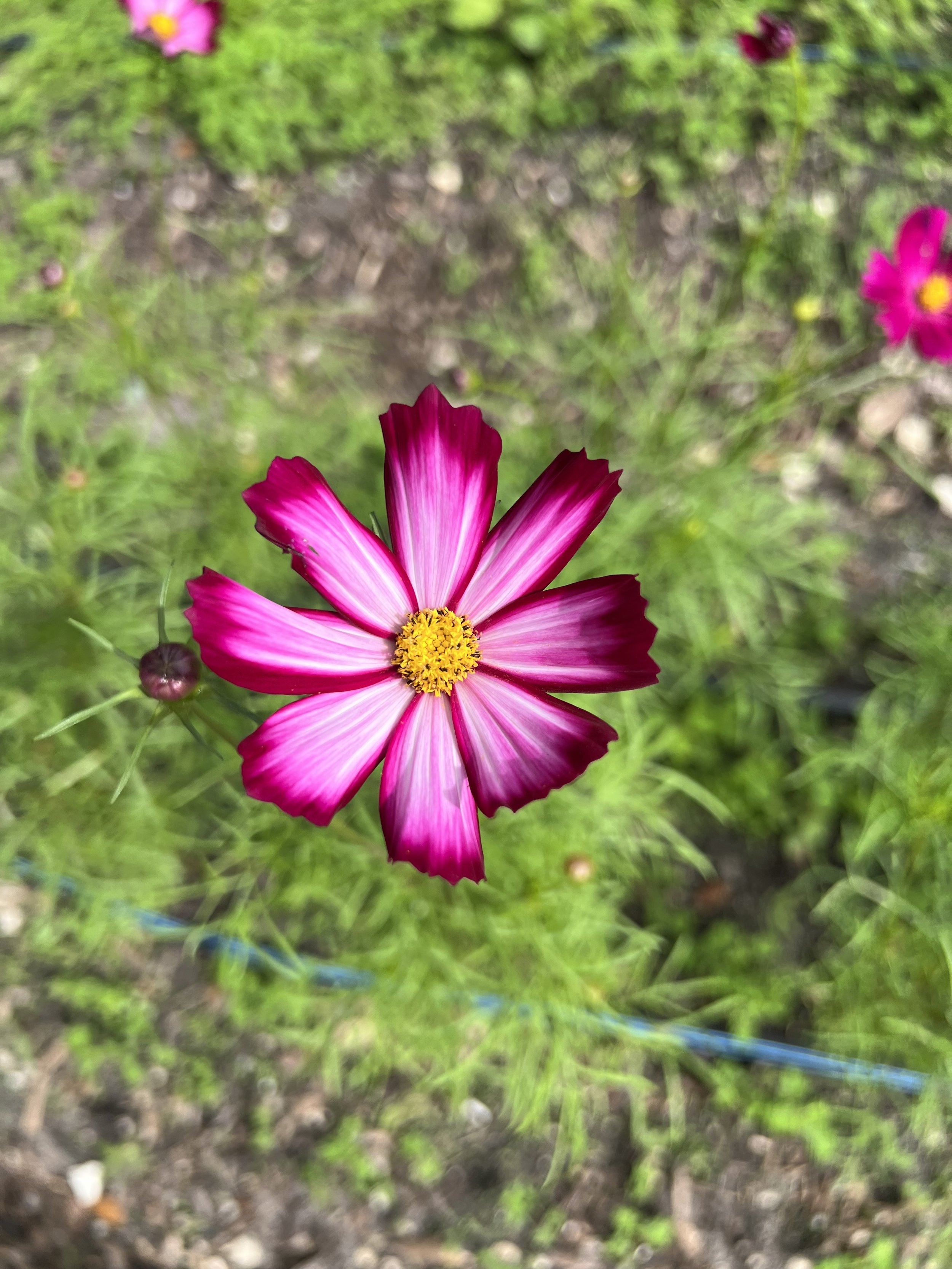 IMG_5728.jpeg
