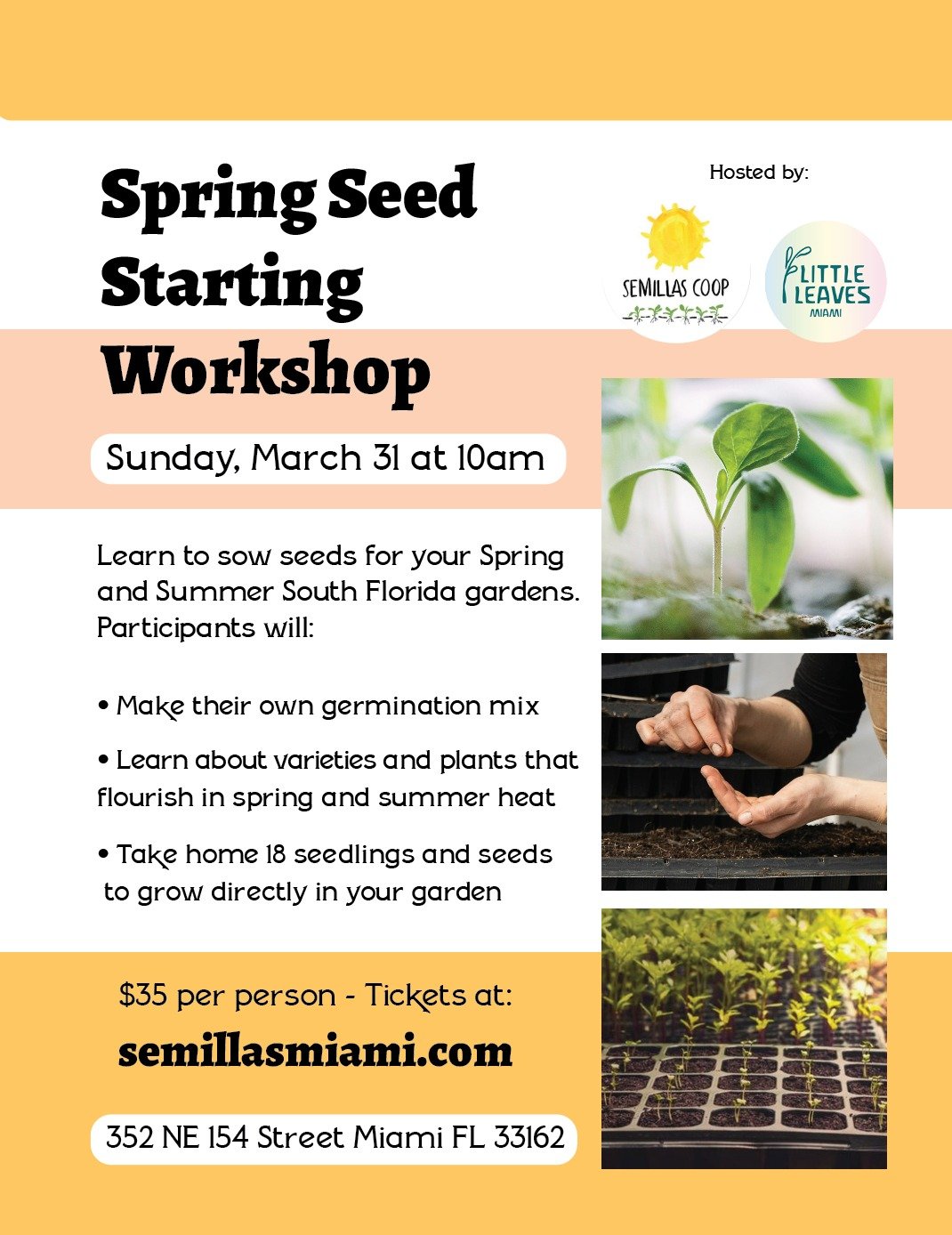 Spring Seedling Workshop.jpeg
