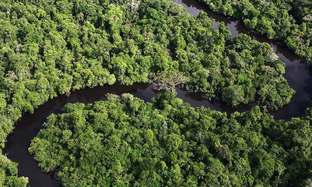 The Territory: Fighting for the future of the Amazon Rainforest