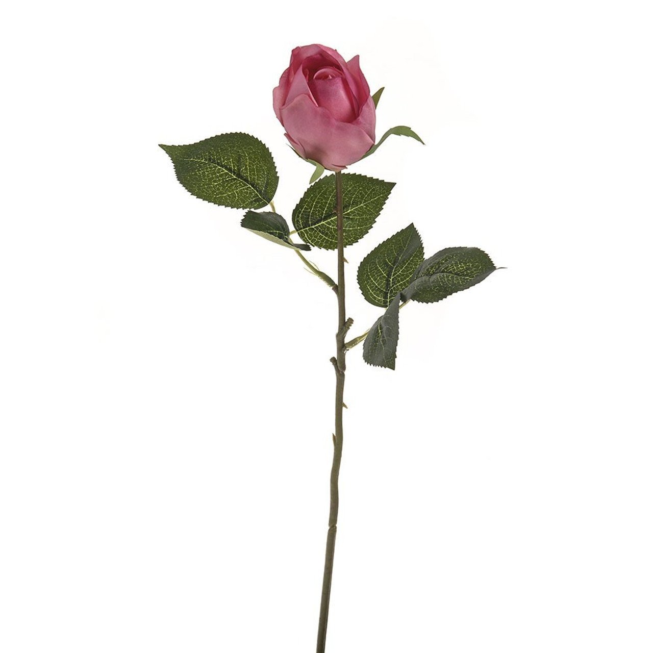 1339965__55758.jpg