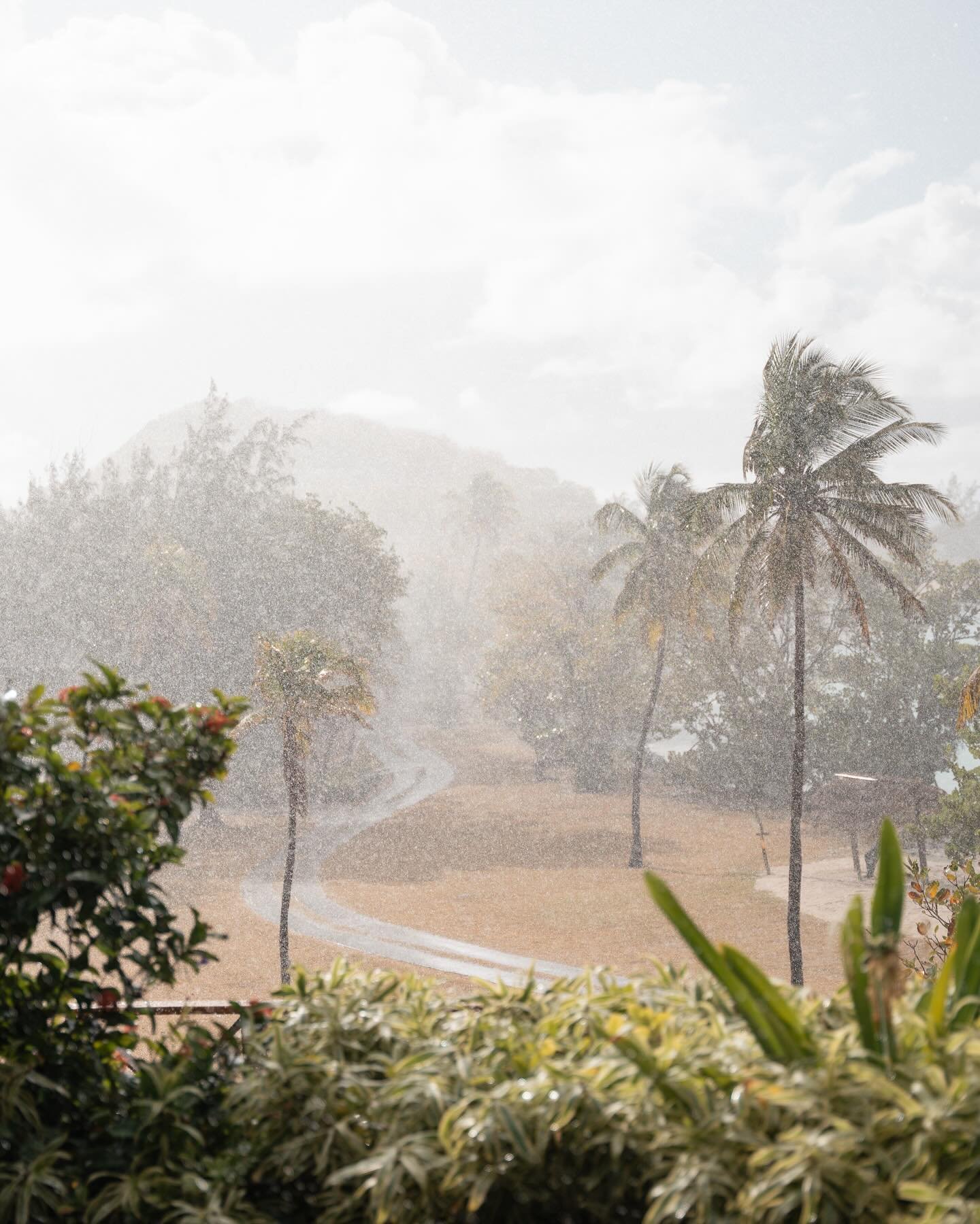 Usually I dread seeing rain on the forecast before a shoot 🌧️ But on this day in the Caribbean, we were surprised with how beautiful a tropical shower really is! 

Plus the rainbow on the other side of the shower is always worth it 🌈 🧡

Content sh