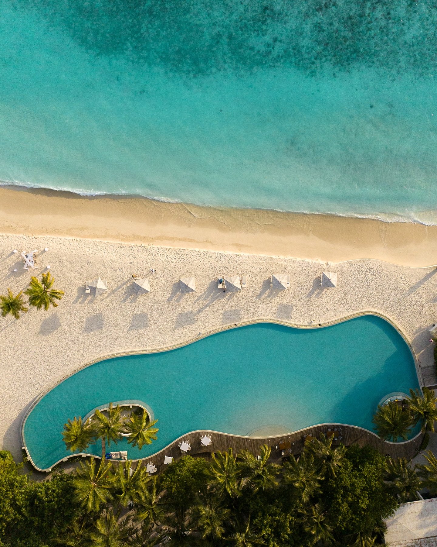 Where the jungle meets the sea 🌴🌊 

Content for @amillamaldives &mdash; a member of @mrandmrssmith 🤍