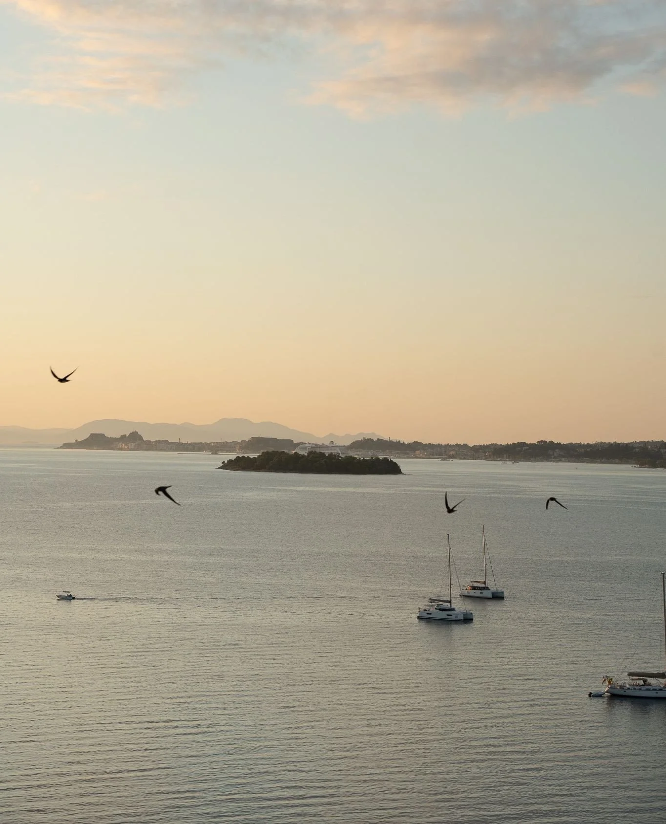 You'd never know from these photos that it torrentially rained for 95% of this photography trip 😅 ⛈️