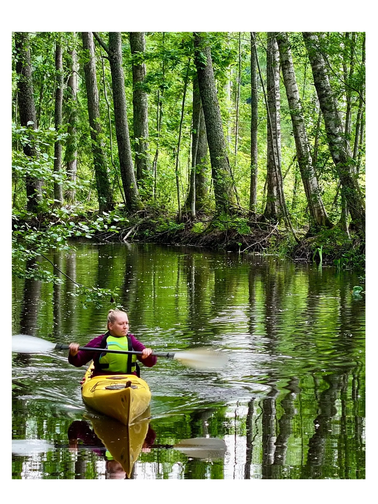 Elokuun hehku ja Kymijoen vehreys 🍀💚
#elokuu #august #kymijoki #vihreys #hehku #vehreys #melonta #melojankymijoki #väriätulvillaan #retkipiste #visitkotkahamina