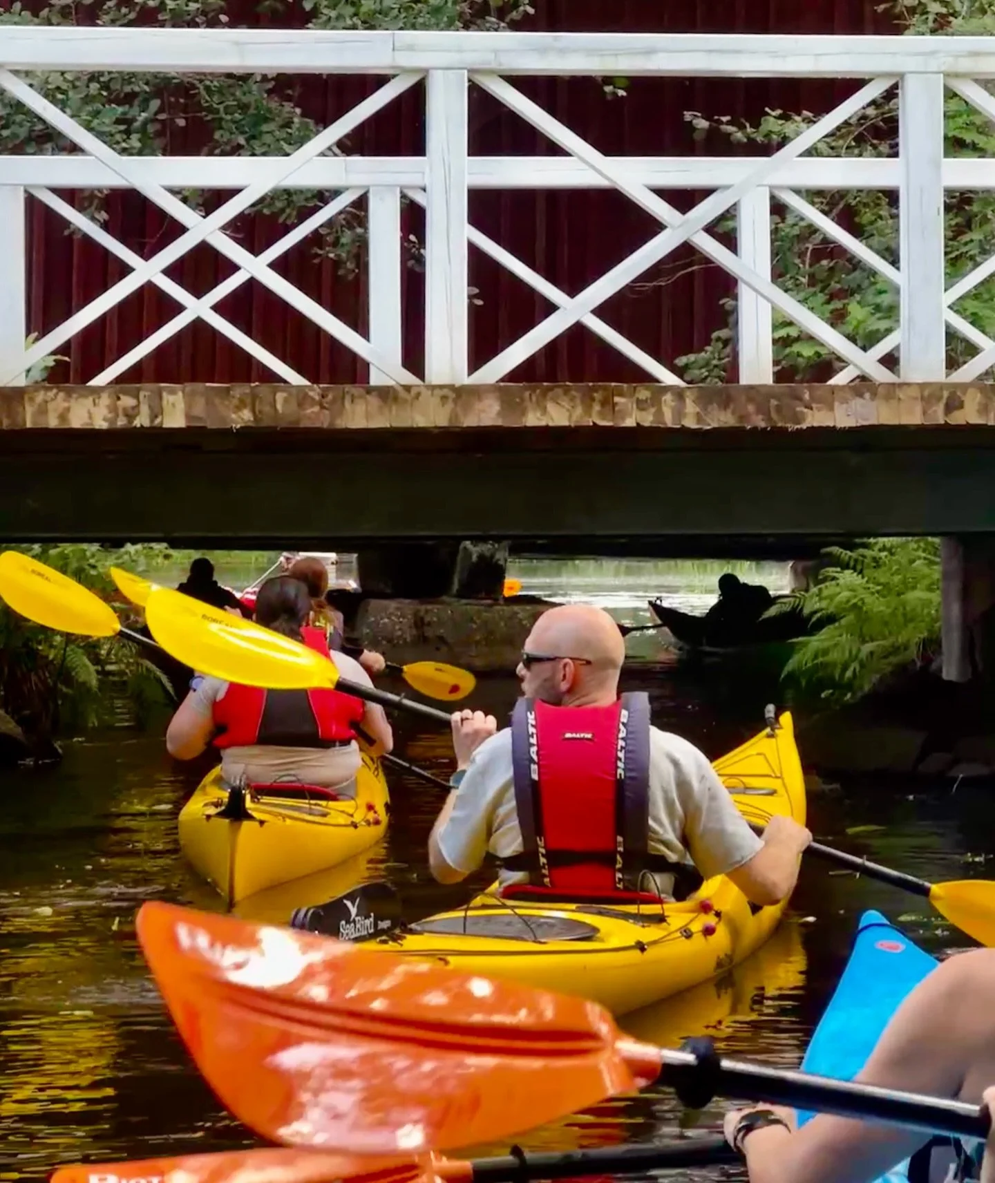 🫶 Strömforsin sunnuntaimelonnat - vehreää jokiluontoa ja arvokkaasti ikääntynyttä kulttuurimaisemaa ❤️💚
Huomenna mennään taas - Lähtö leppoisalle jokimelonnalle Strömforsin Retkipisteeltä