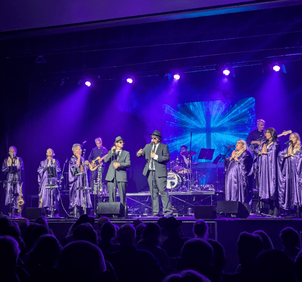 The Ultimate Commitments And Blues Brothers Experience