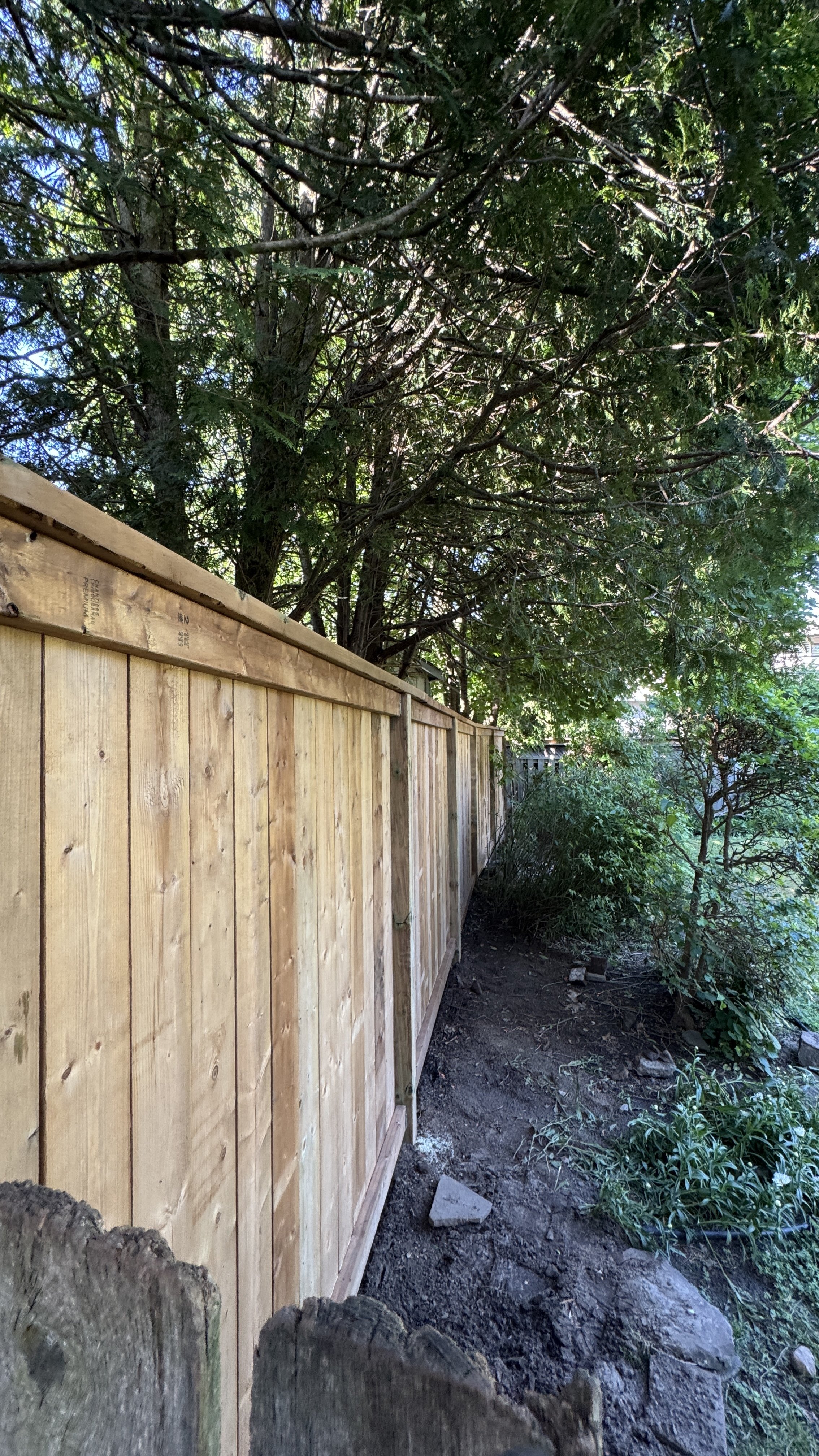 A wooden fence running along a backyard area, with an overgrown garden and tall trees providing shade.