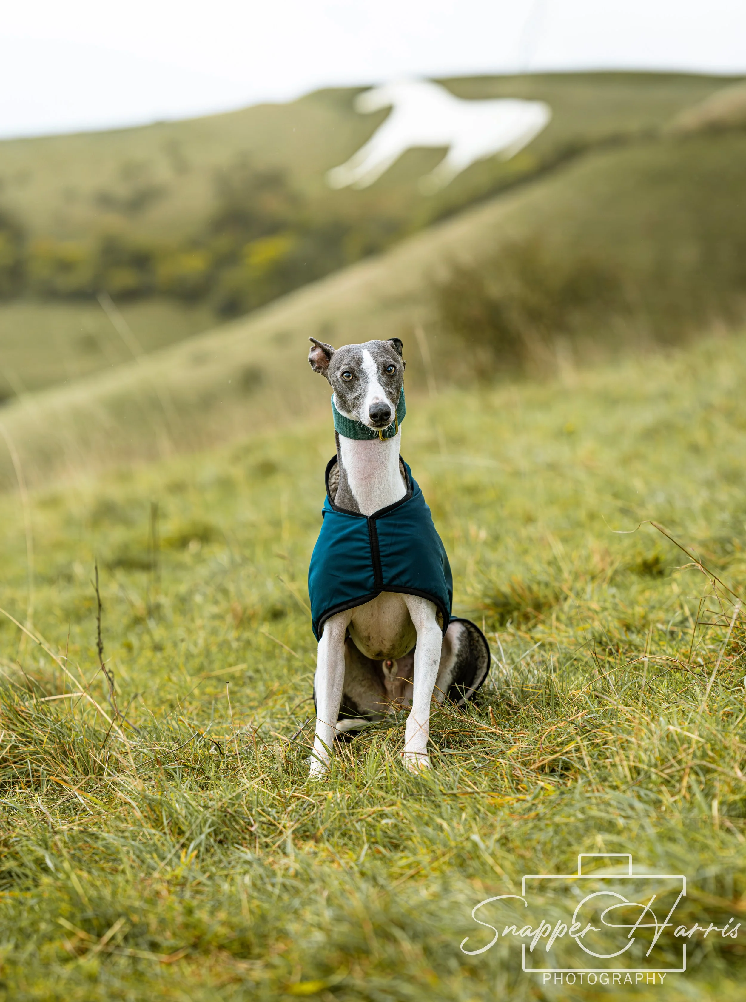 Kaylee & George-19.jpg