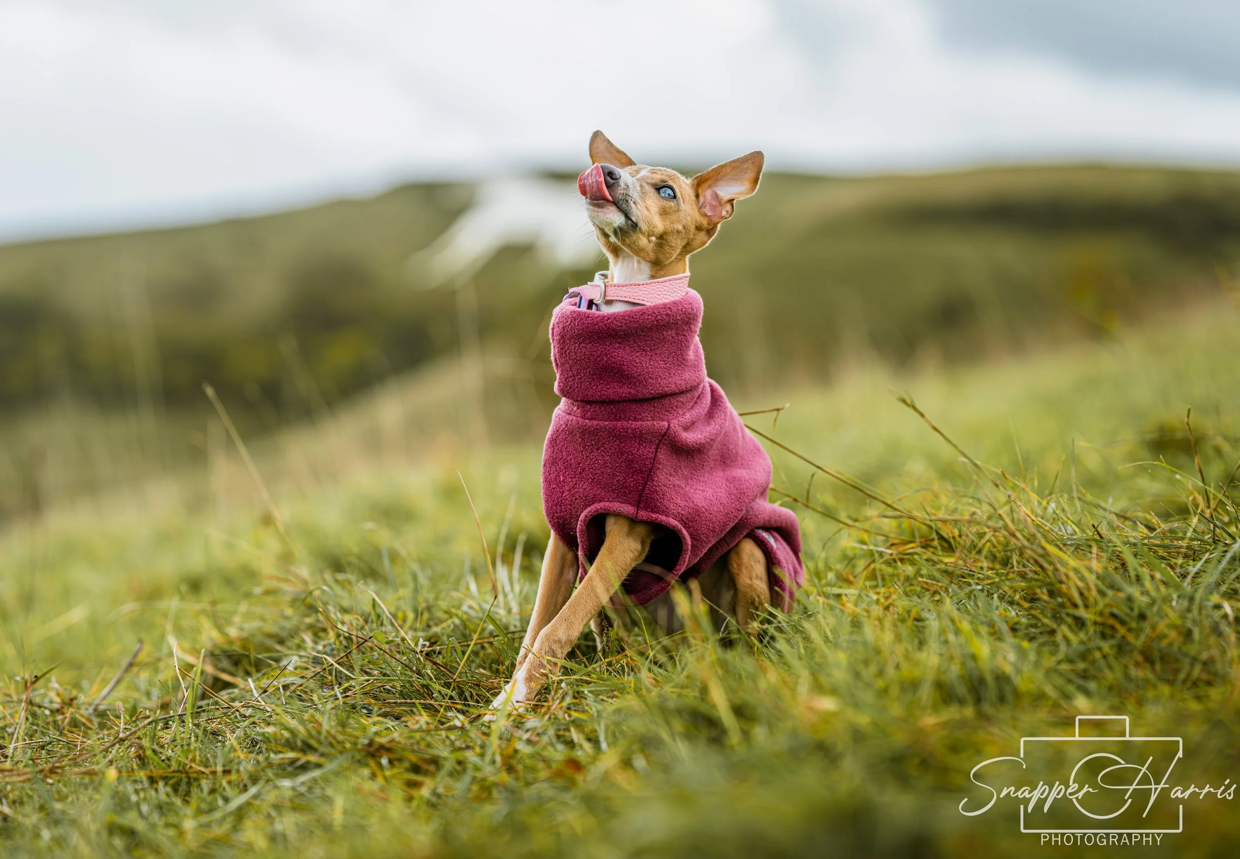 Kaylee & George-34.jpg