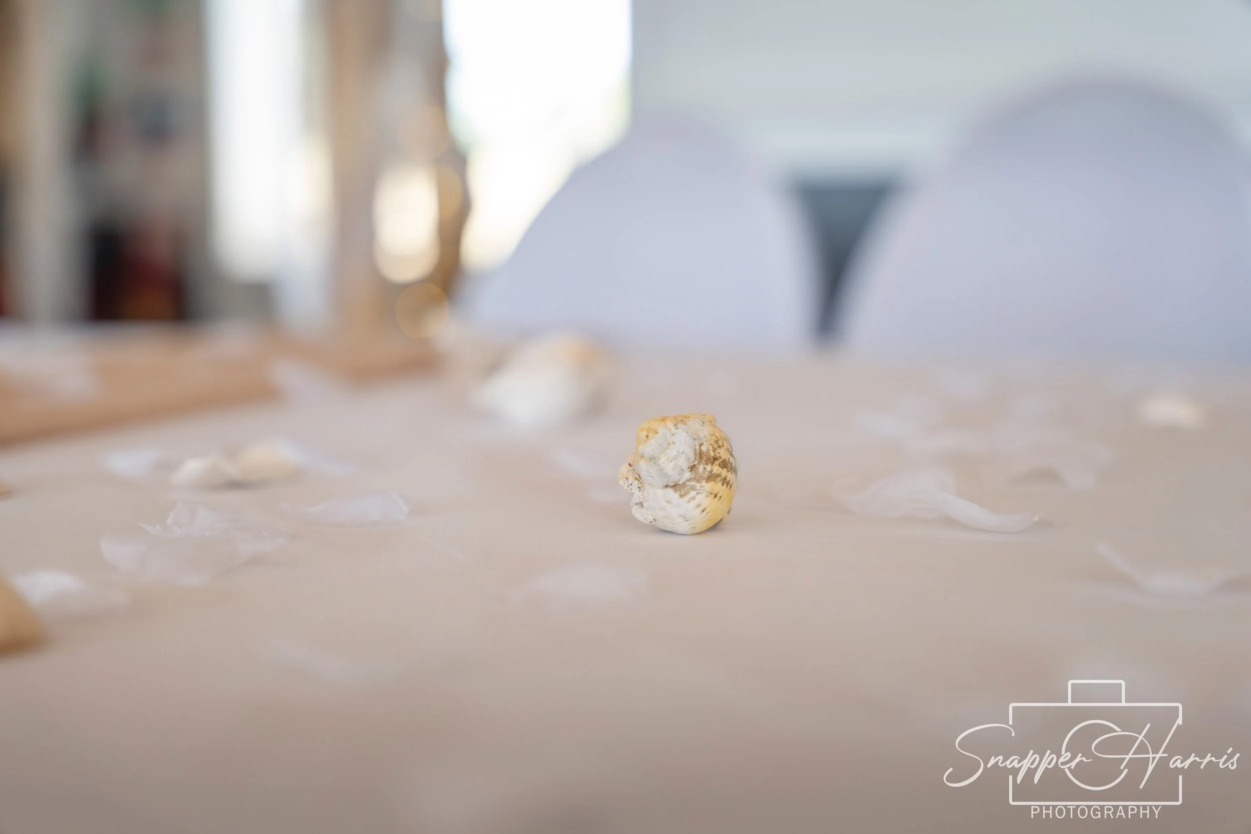 Kayleigh & Matt 12-05-2025-4.jpg