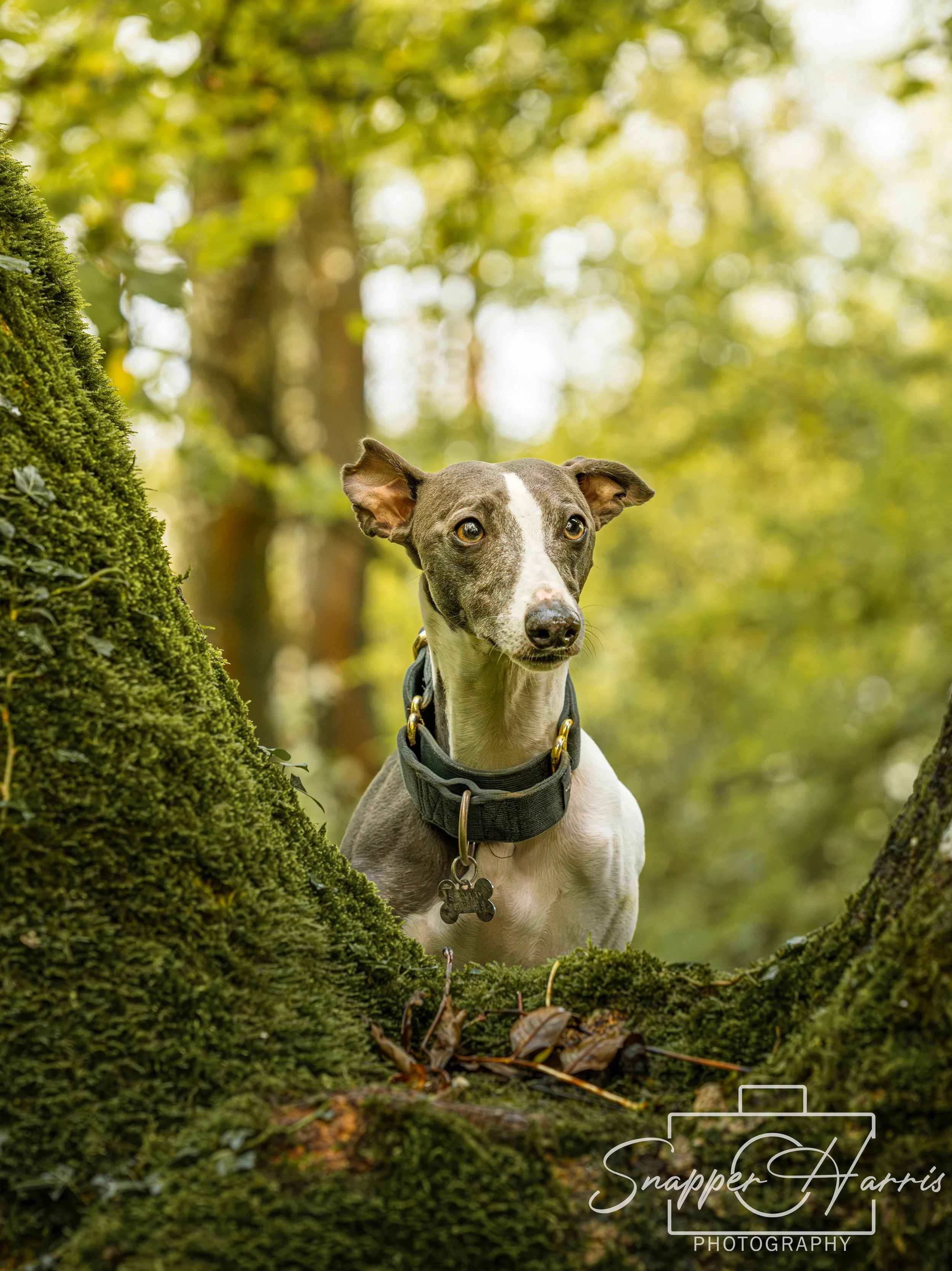 Kaylee & George-75.jpg