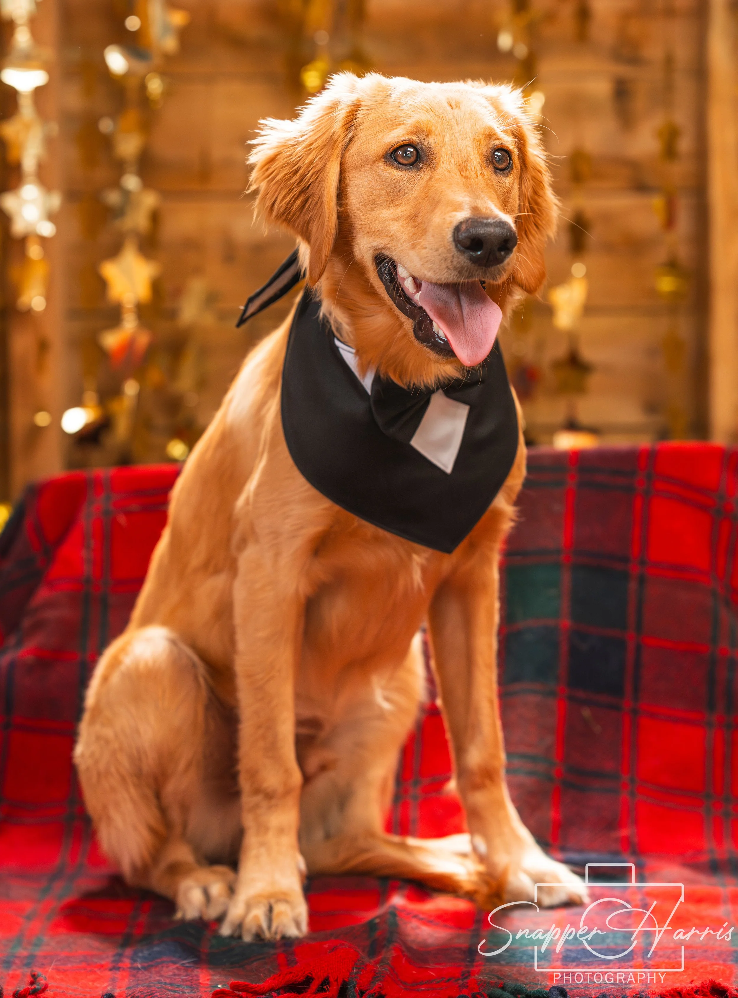 BISCUITS BIRTHDAY 09082025-5.jpg