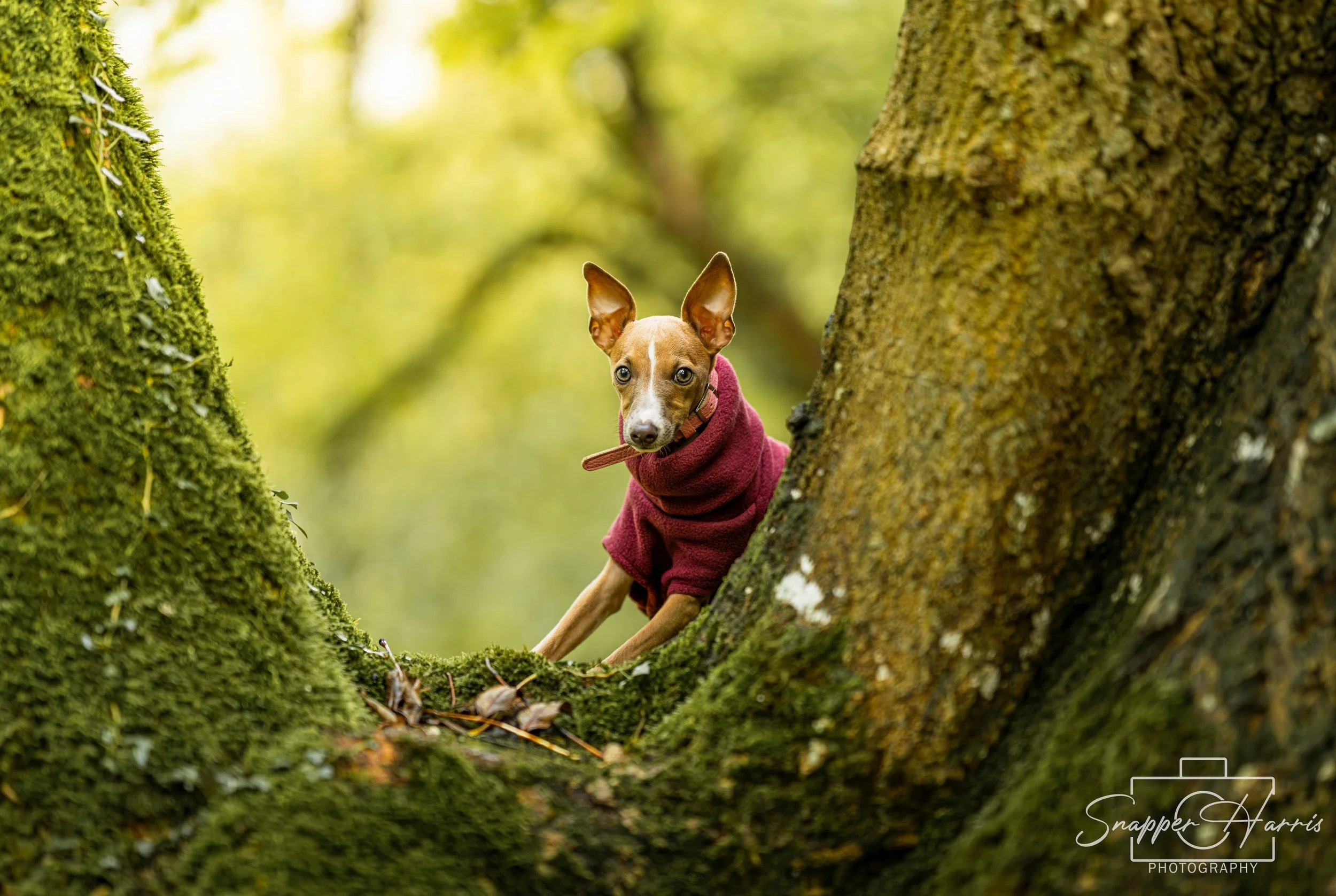 Kaylee & George-65.jpg