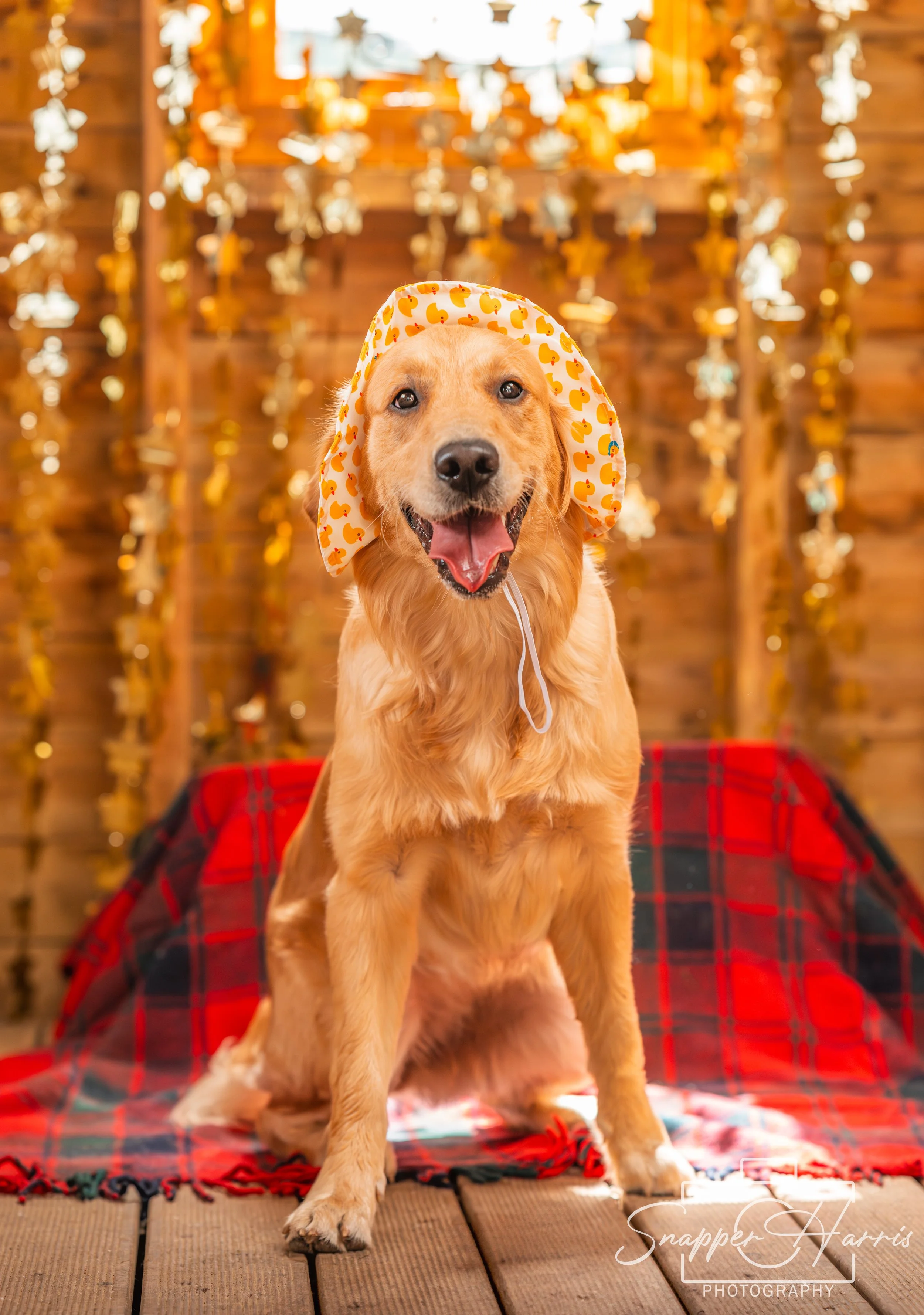 BISCUITS BIRTHDAY 09082025-12.jpg