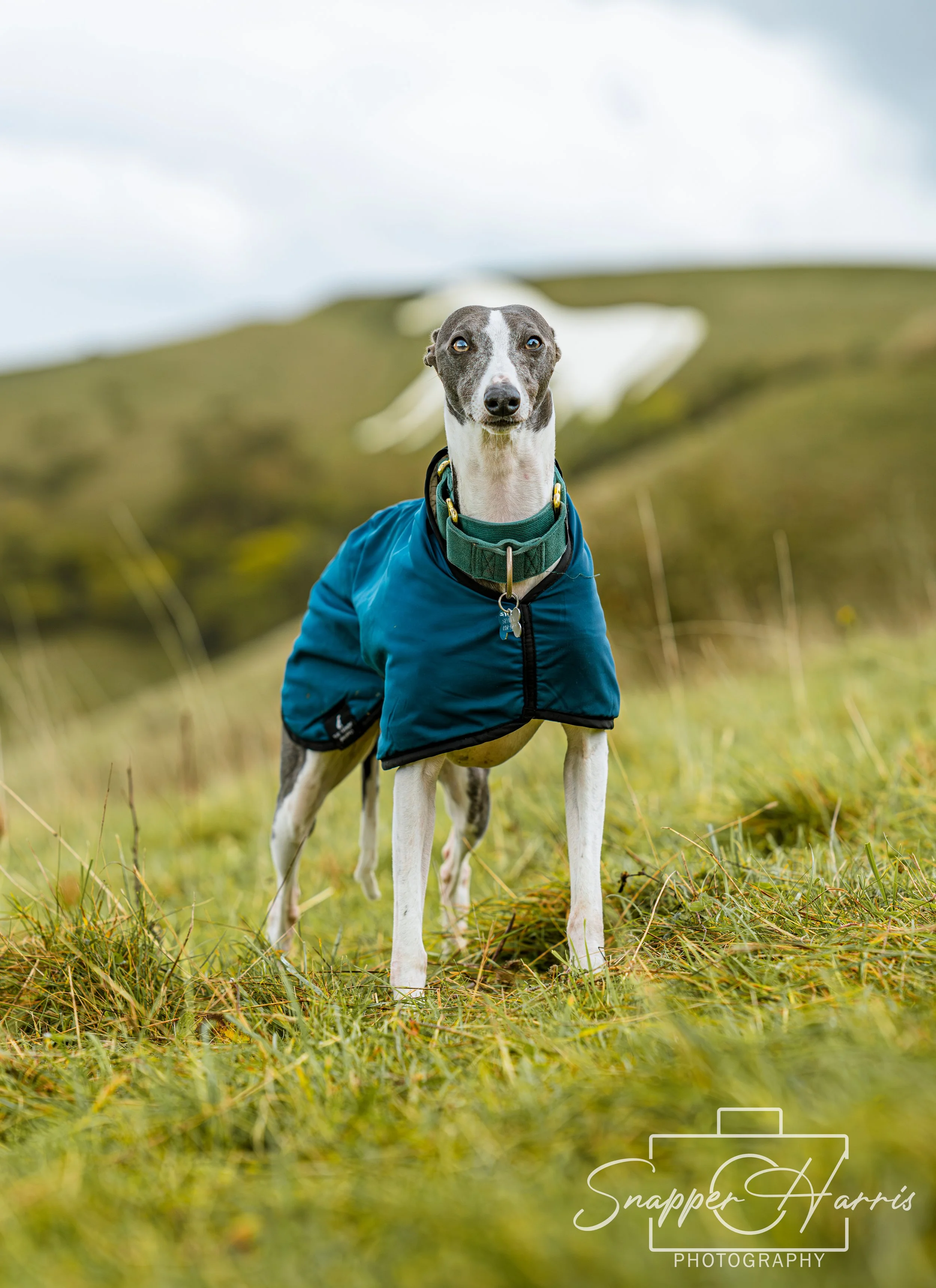 Kaylee & George-48.jpg