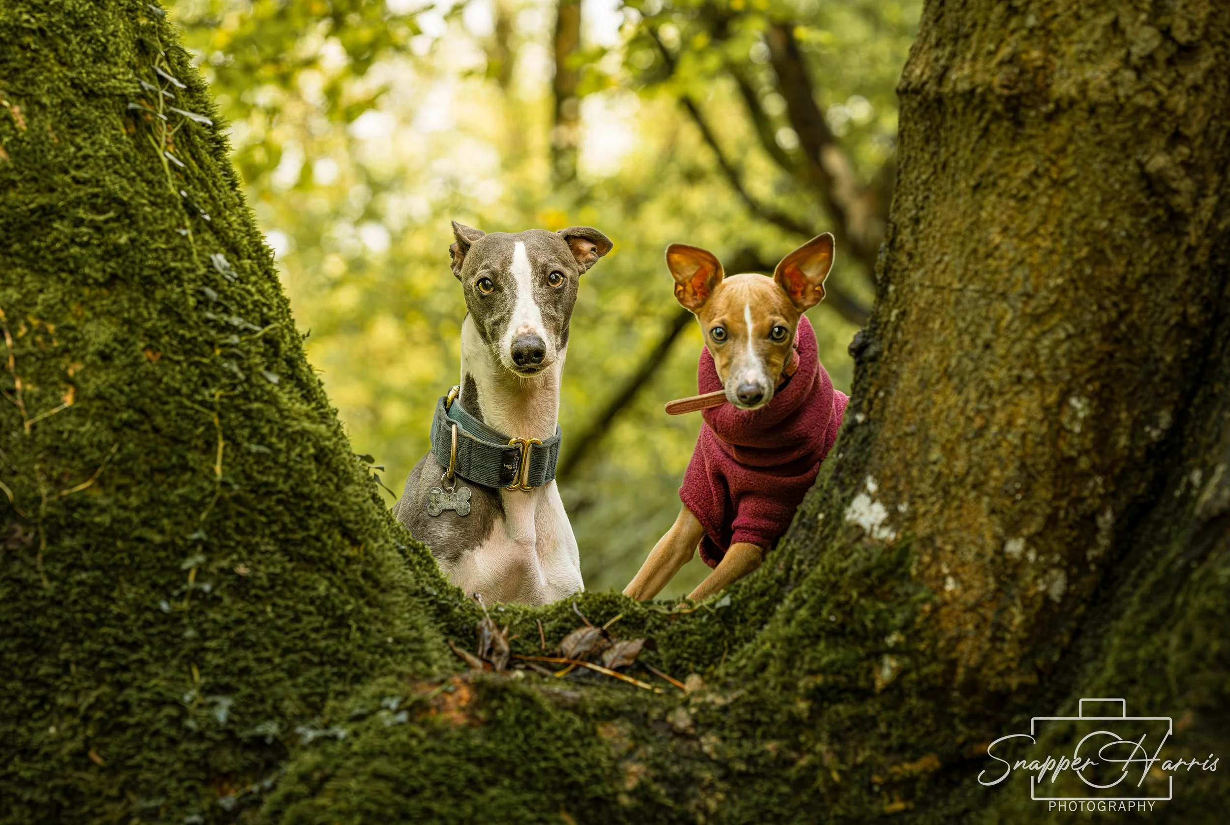 Kaylee & George-69.jpg