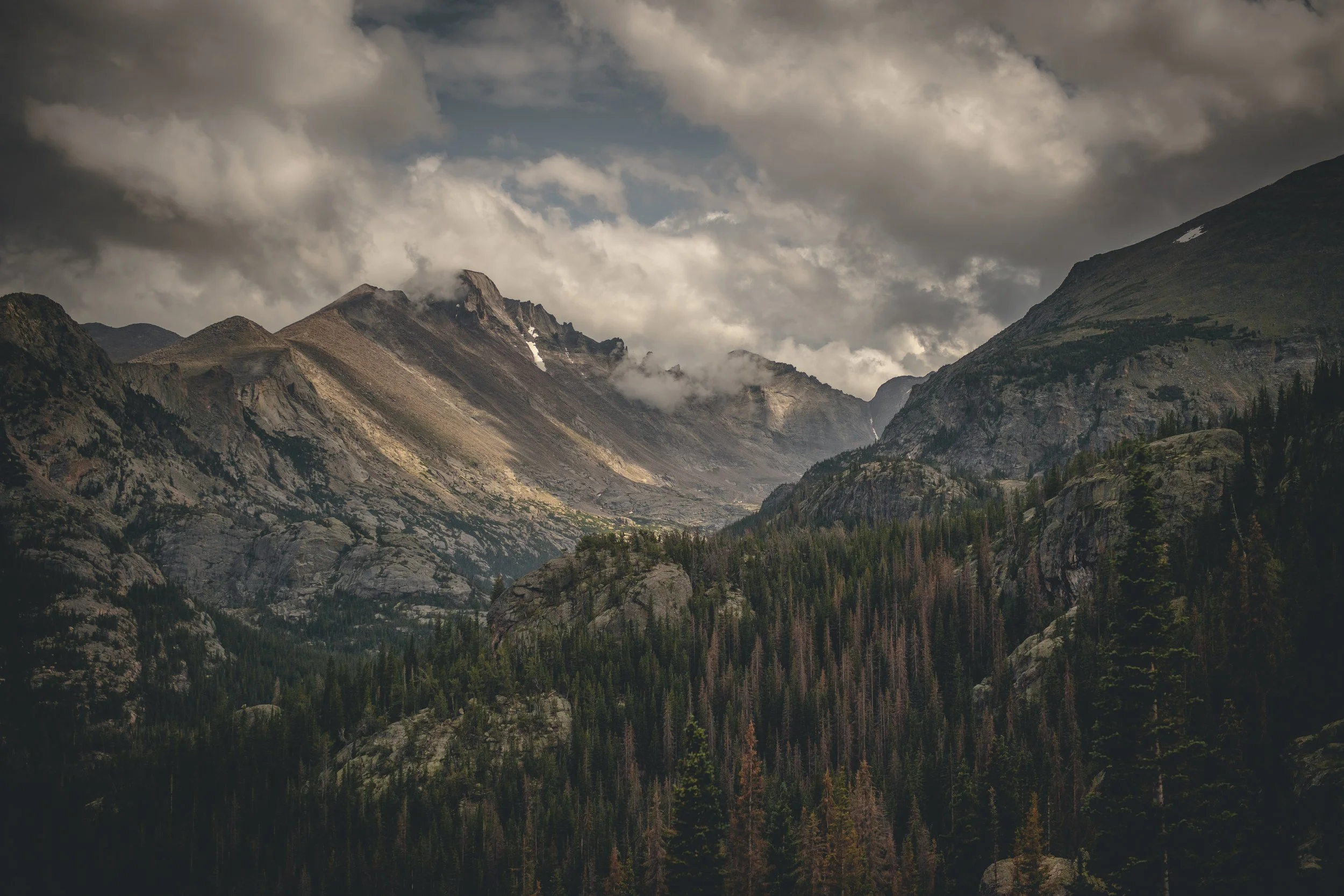 Mountain landscape with rugged peaks, dense pine forest in the foreground, and cloudy sky overhead.
