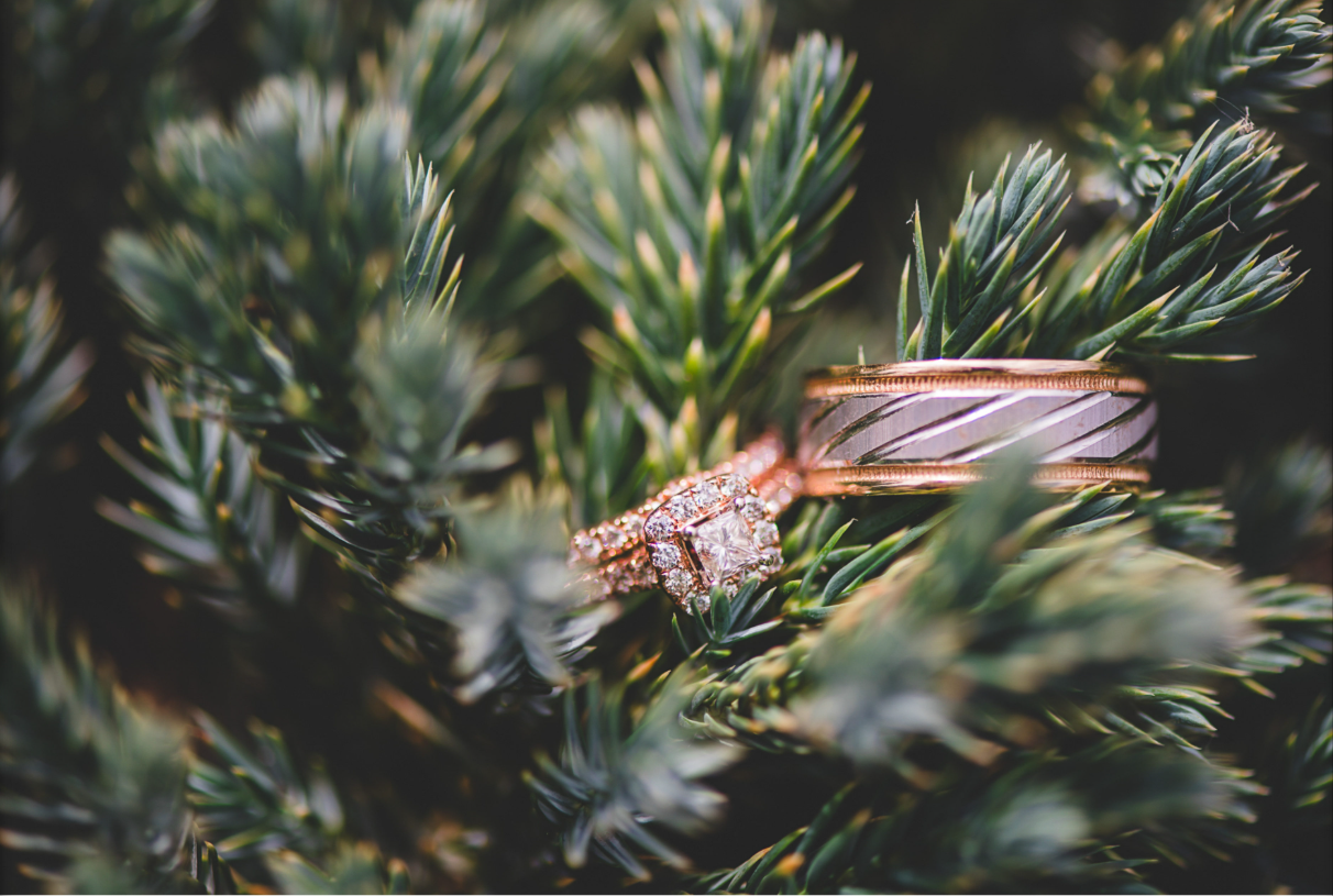 Close-up of a diamond engagement ring and a wedding band on green pine tree branches.