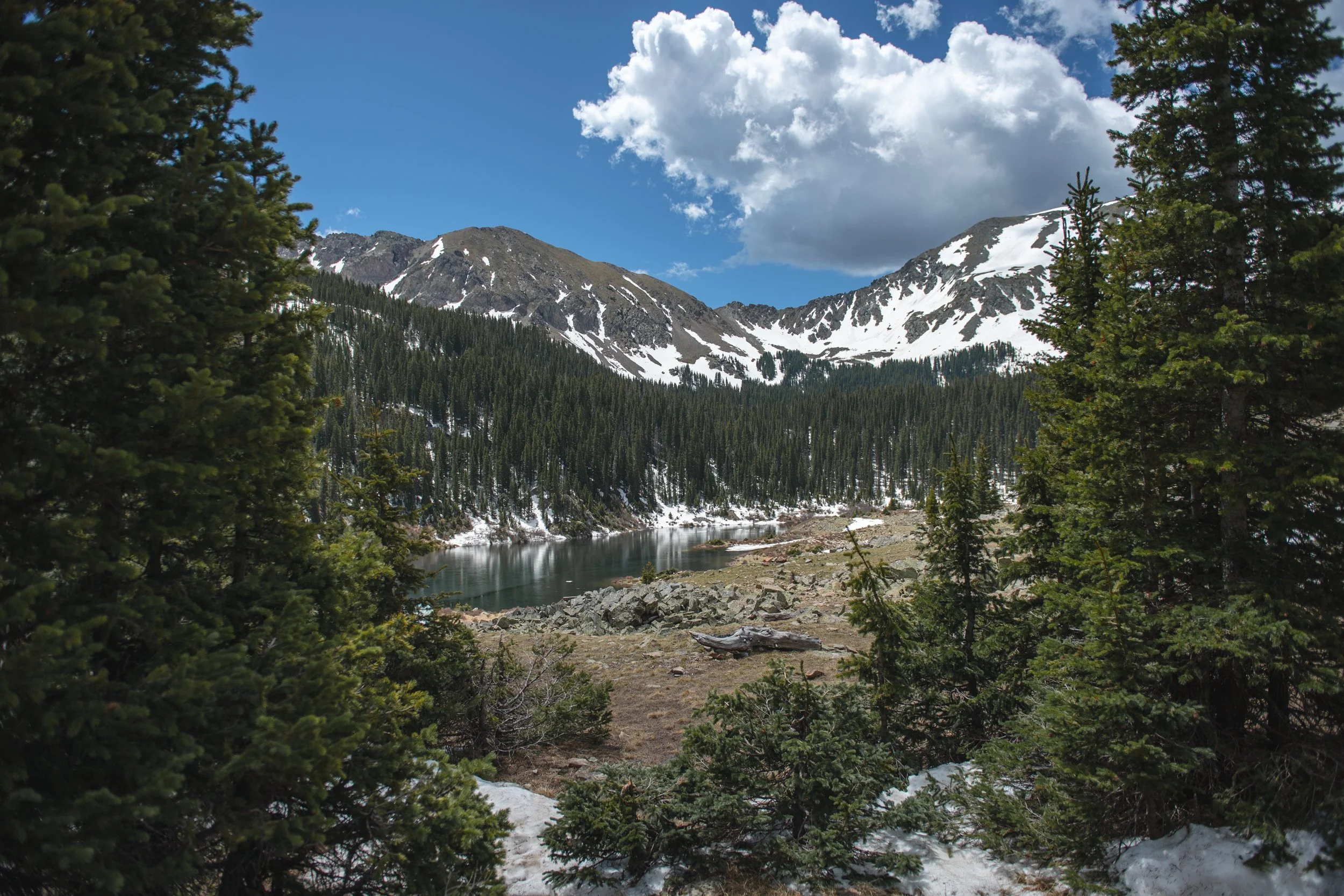Mountain landscape with snow-capped peaks, green pine trees, a lake, and rocky terrain under a partly cloudy sky.