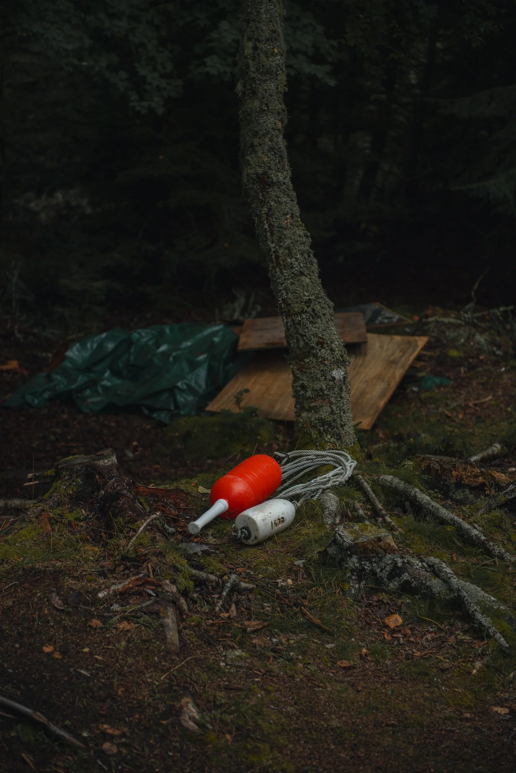 A bundle of ropes, a red buoy, and a white float on the forest floor near a tree, with a tarp and wooden planks in the background.
