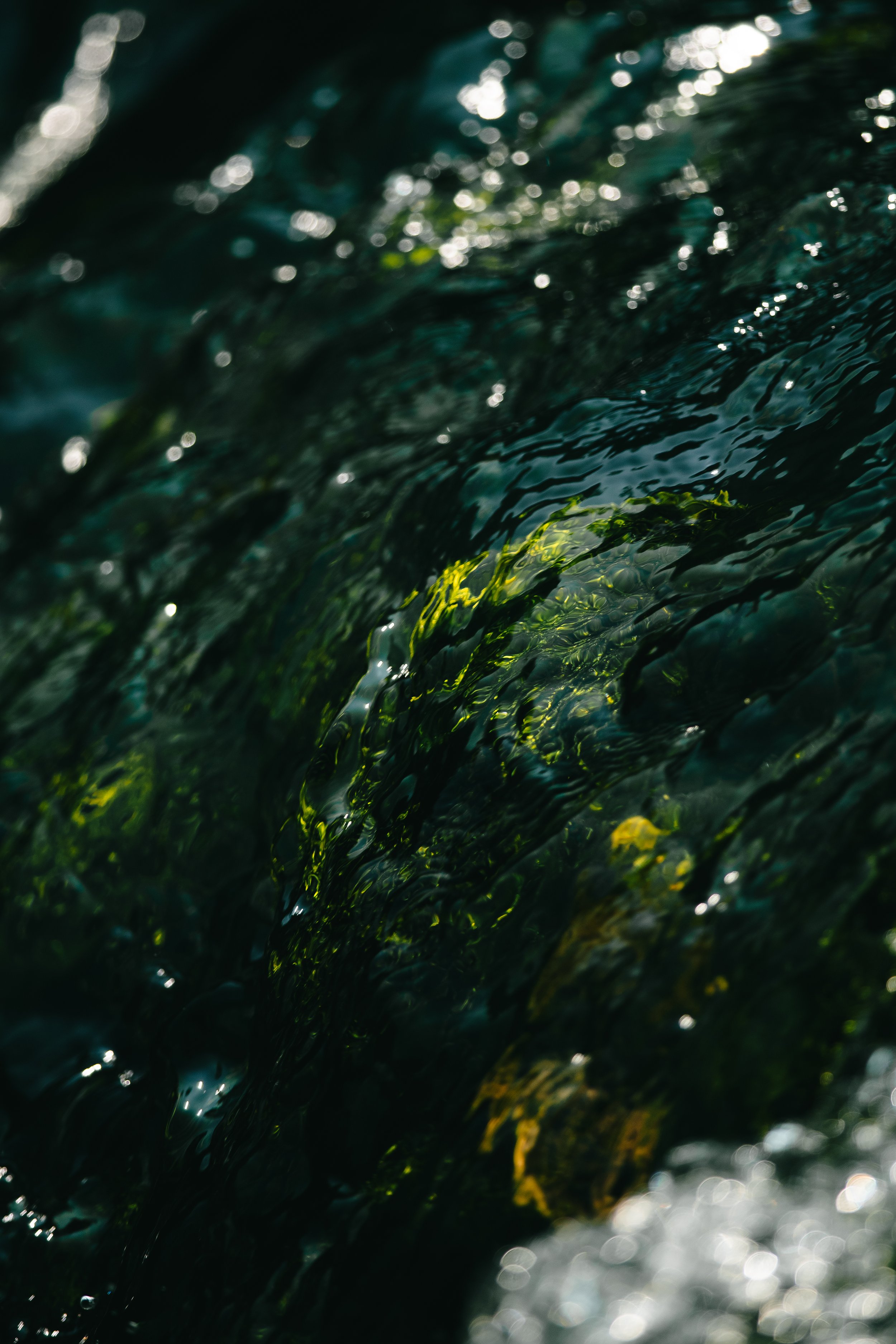 Close-up of a rushing stream with dark, clear water and green algae or plants visible beneath the surface.