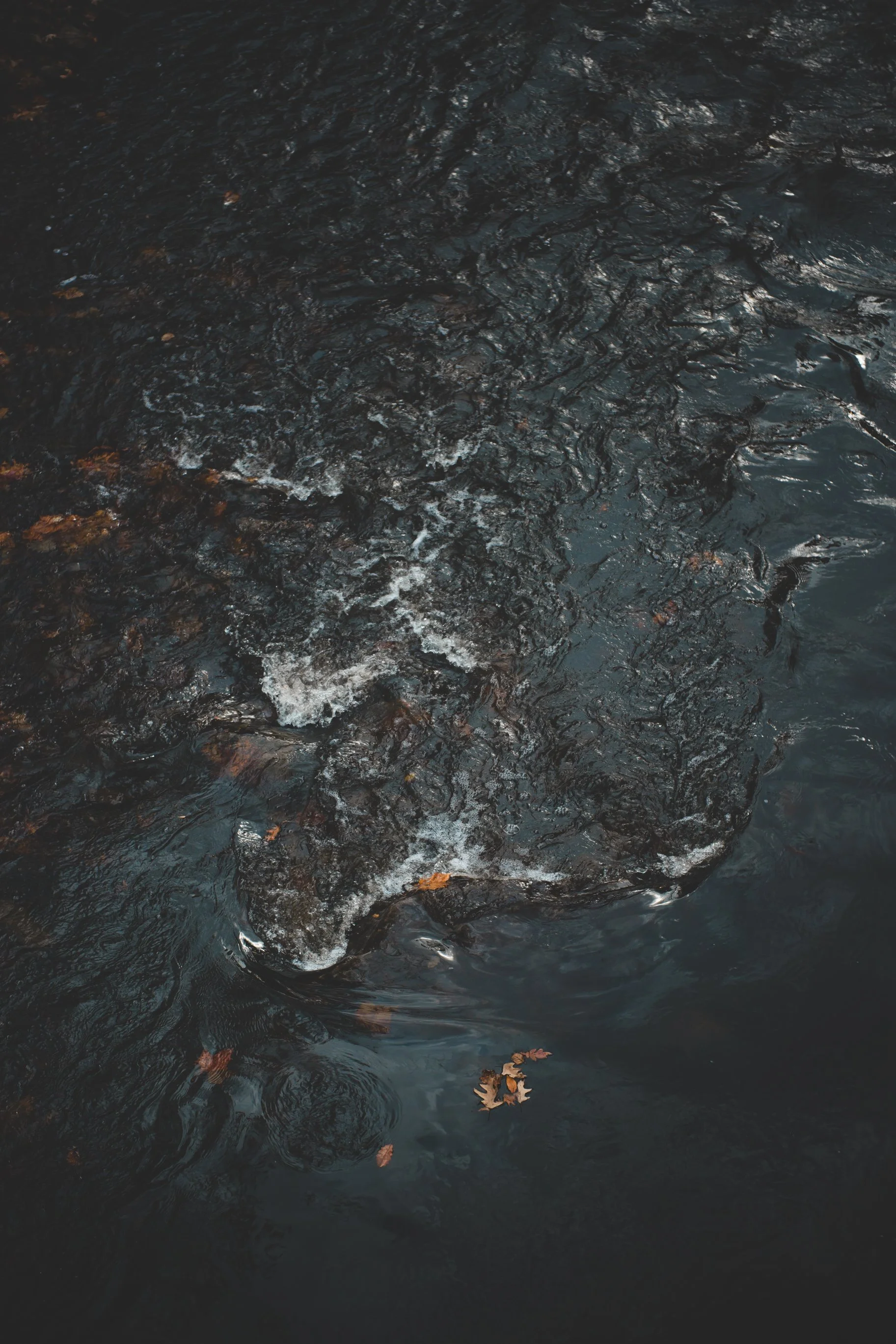 Close-up of dark water with a large submerged rock and scattered autumn leaves.
