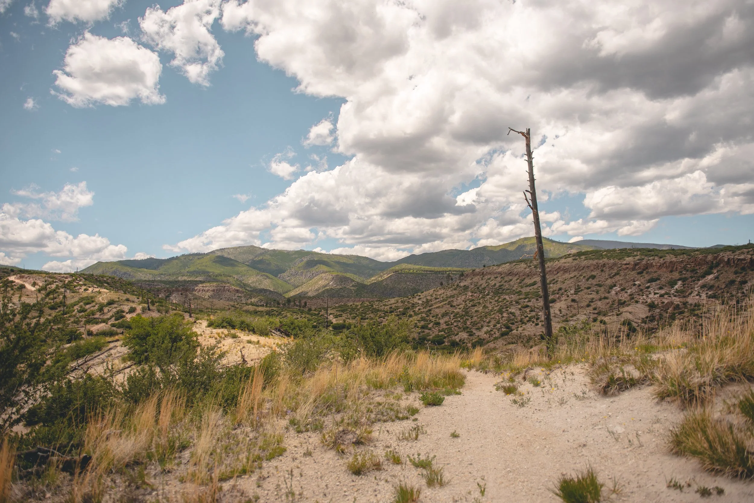 A dirt path in a mountainous desert landscape with green hills, scattered trees, and a weathered, leafless tree trunk standing upright under a partly cloudy sky.