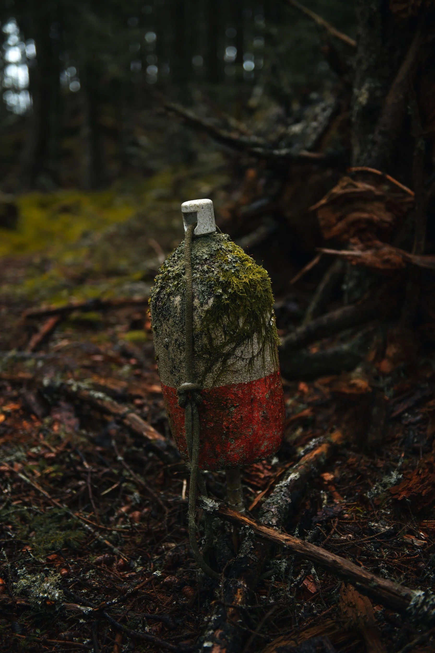 A moss-covered navigation marker or meridian floating buoy with red and white markings, placed on the forest floor amidst moss, twigs, and damp leaves.